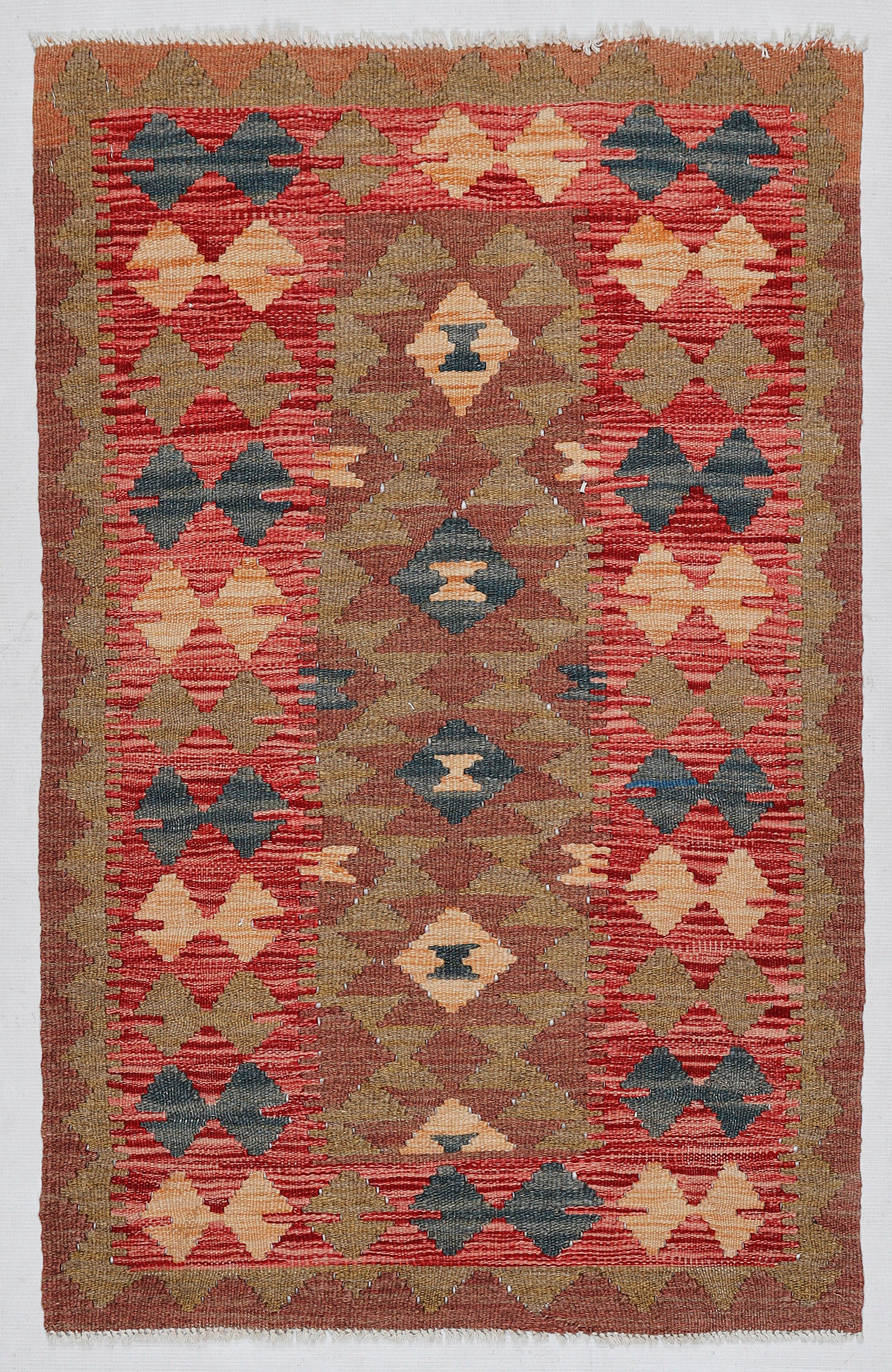 2' 6" x 4' Multy Handmade Veggie Dye Kilim Rug Rectangular