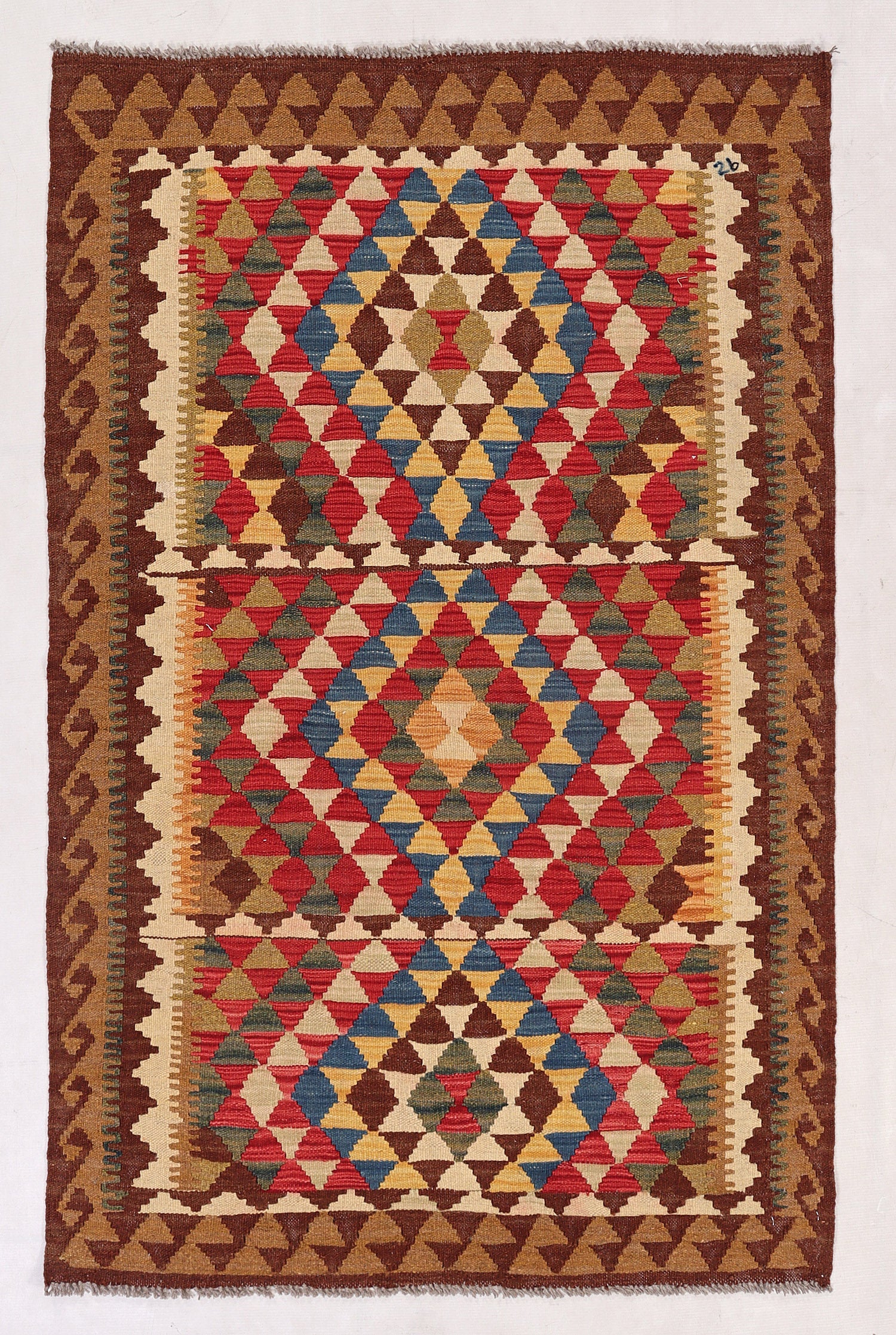 3' X 5' Multy Handmade Veggie Dye Kilim Rug Rectangular