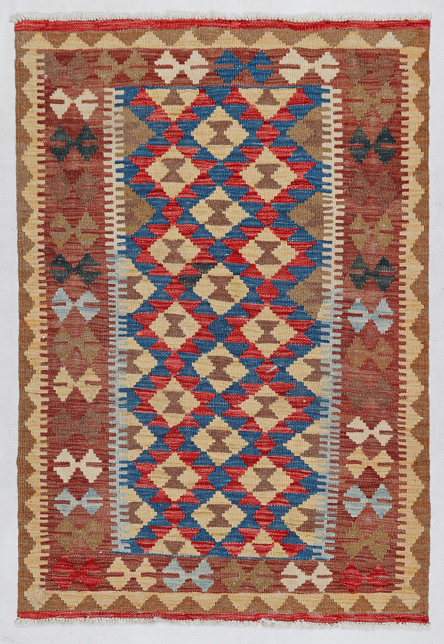 3' X 5' Multy Handmade Veggie Dye Kilim Rug Rectangular