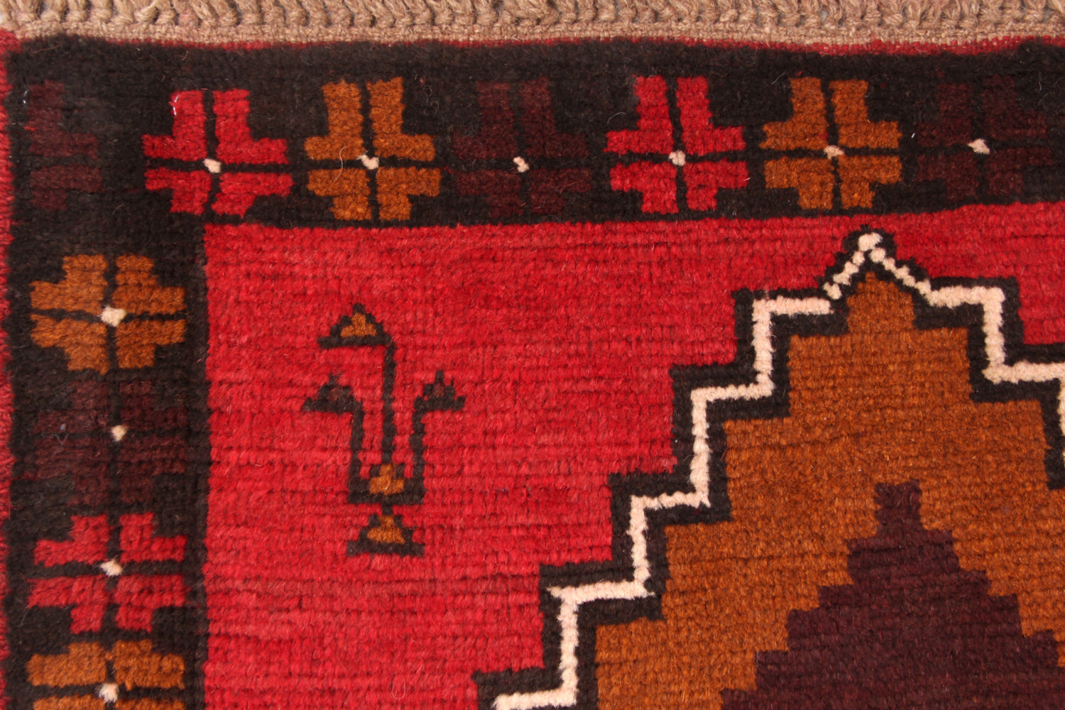 SHINDANDI BALUCHI