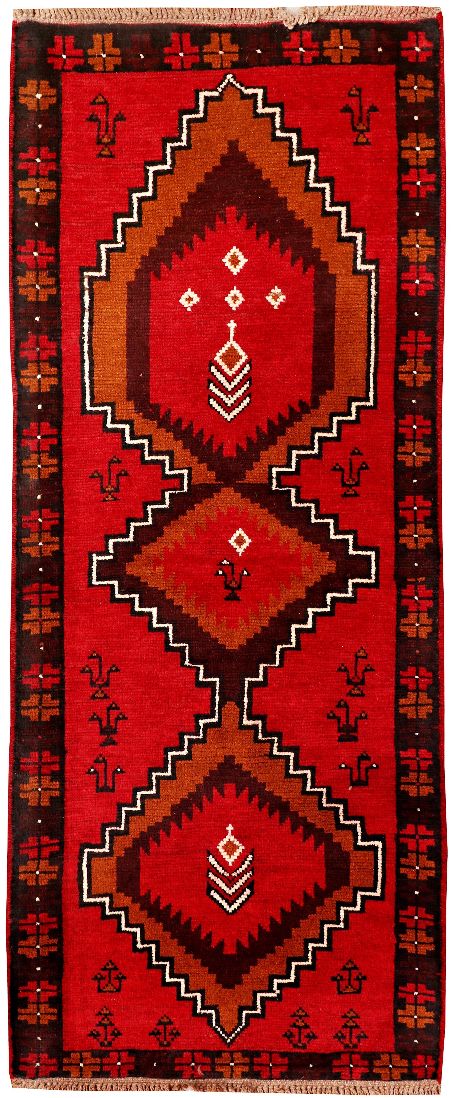 SHINDANDI BALUCHI