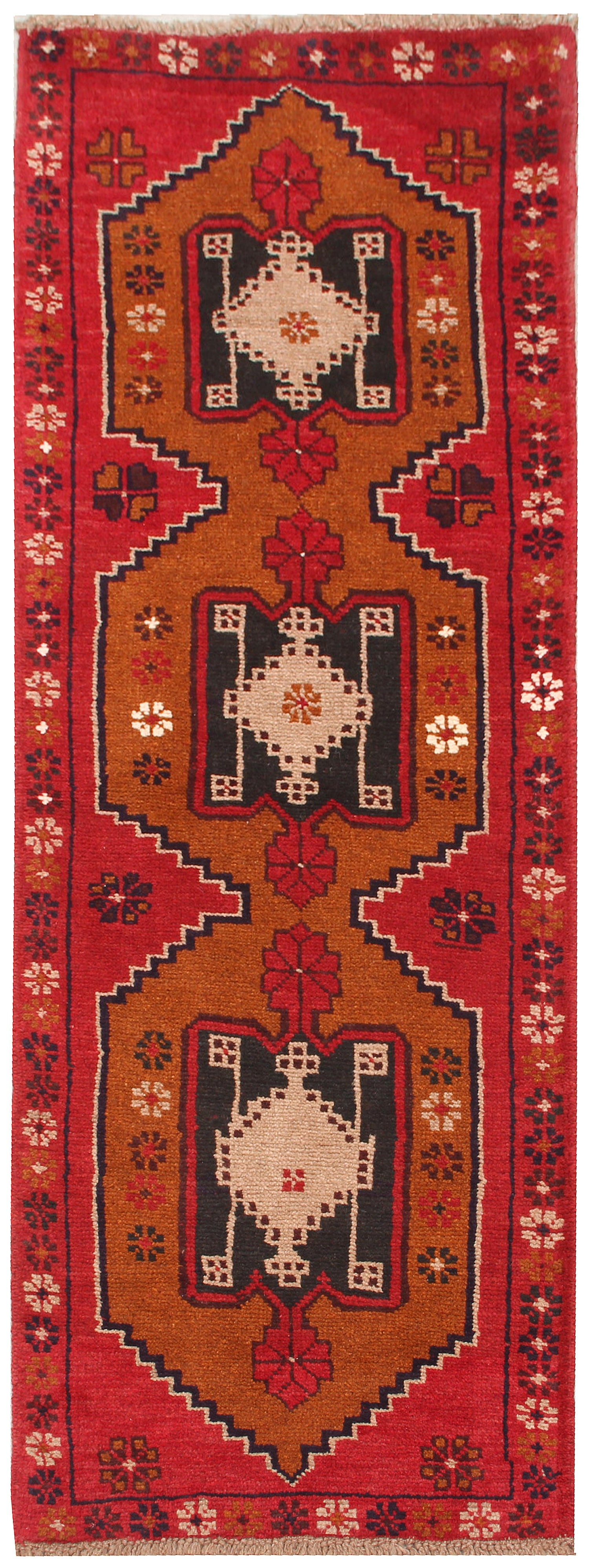 SHINDANDI BALUCHI