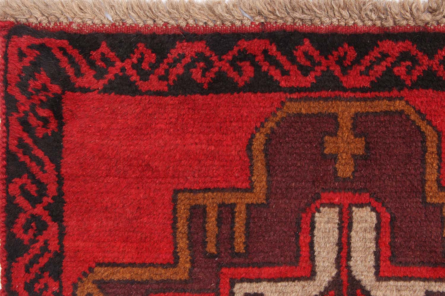 SHINDANDI BALUCHI