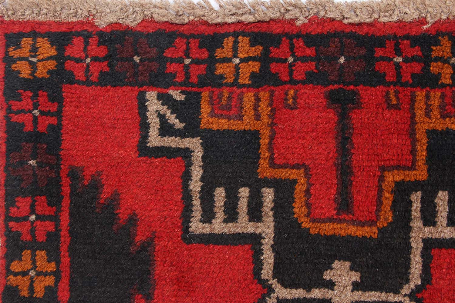 SHINDANDI BALUCHI