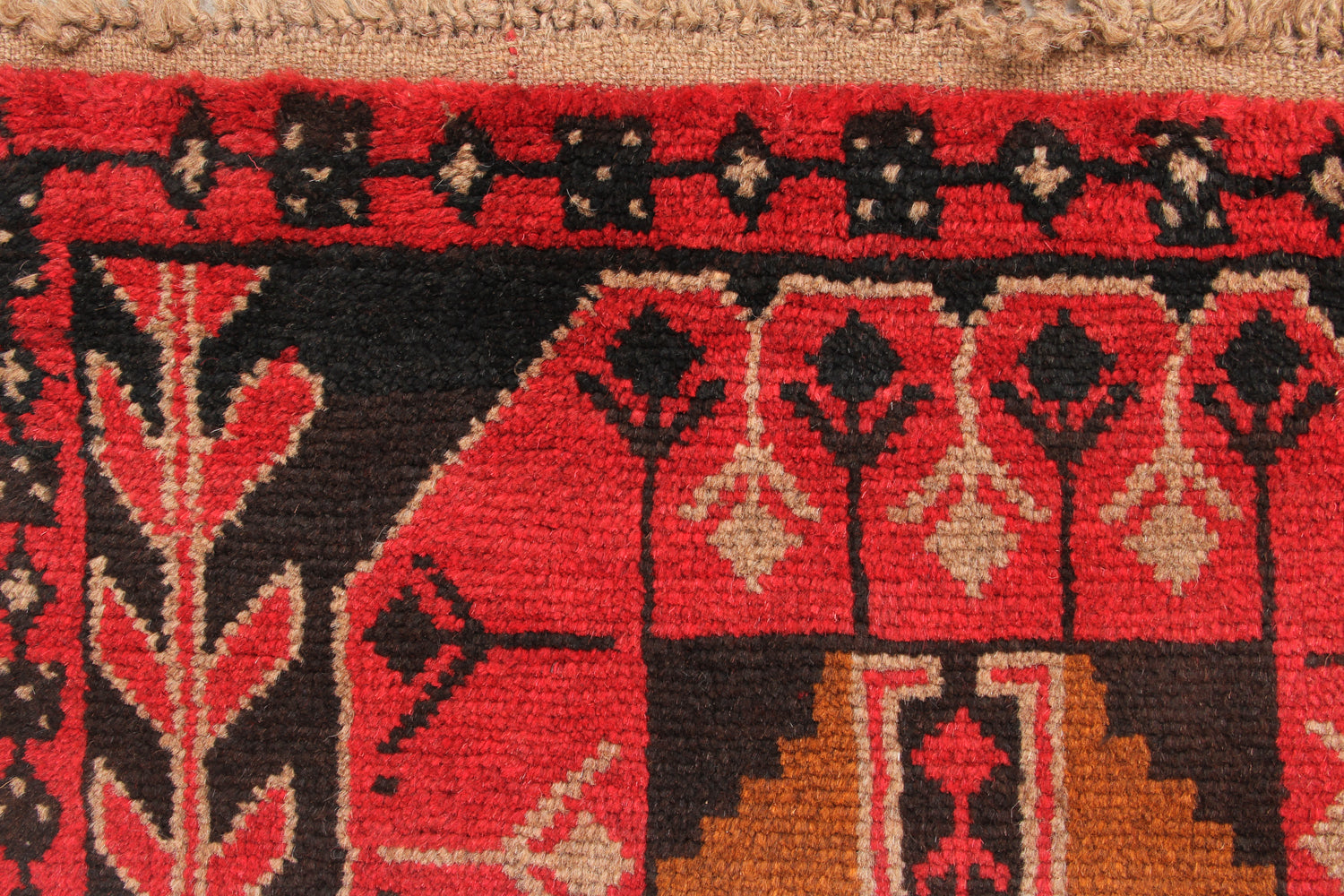 SHINDANDI BALUCHI