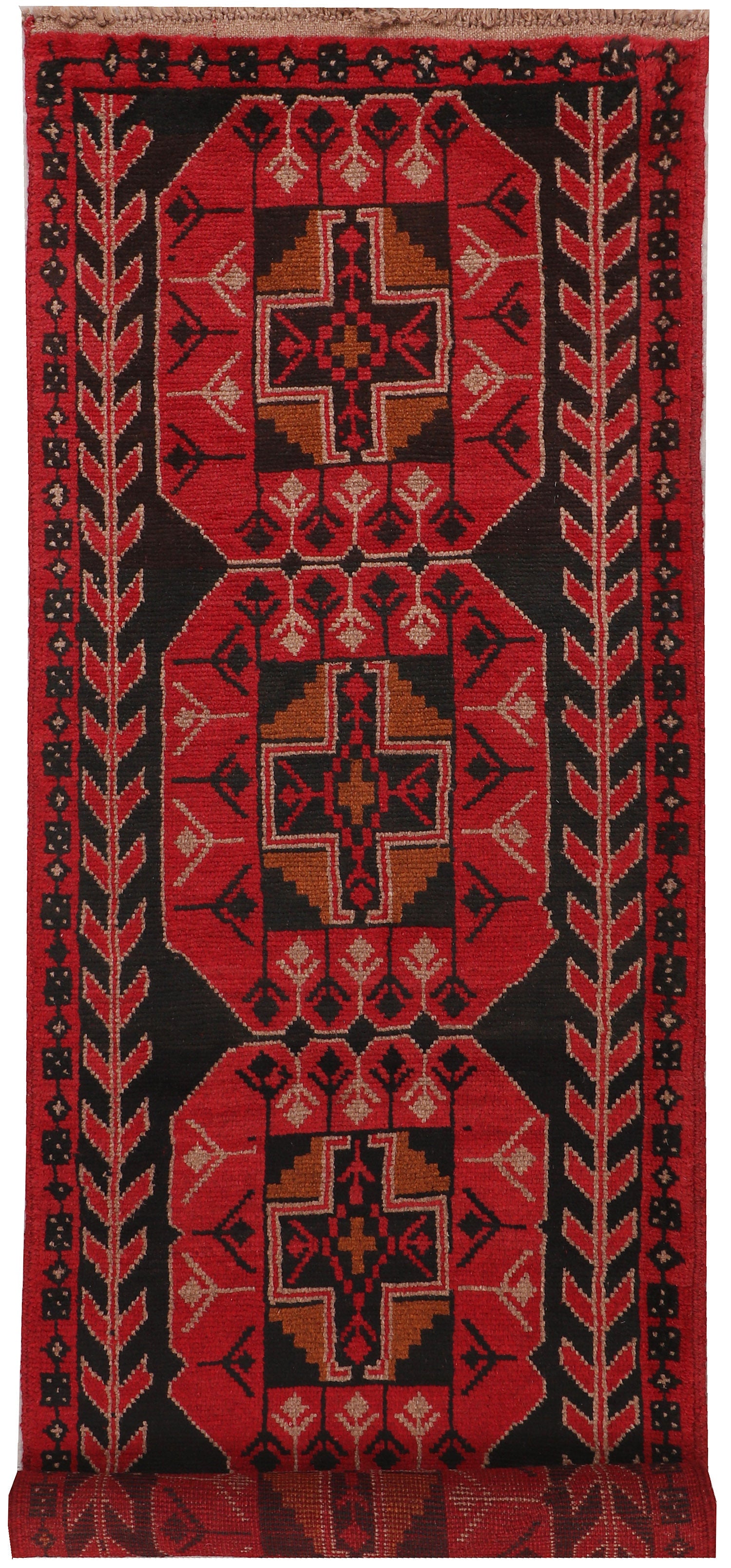 SHINDANDI BALUCHI