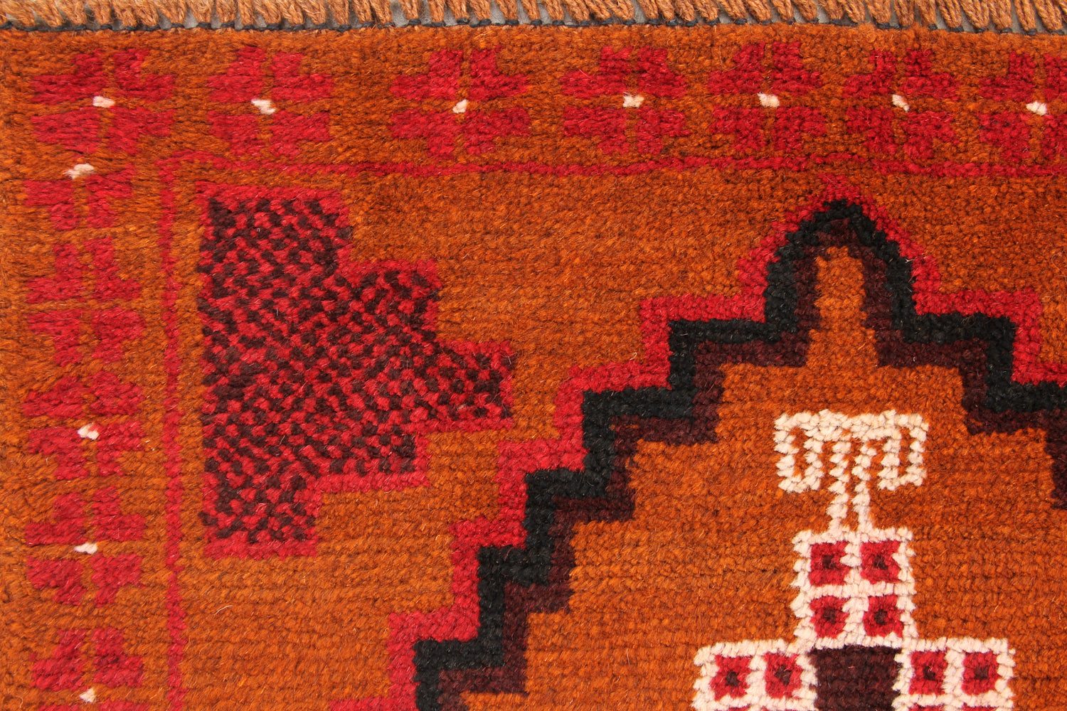 SHINDANDI BALUCHI