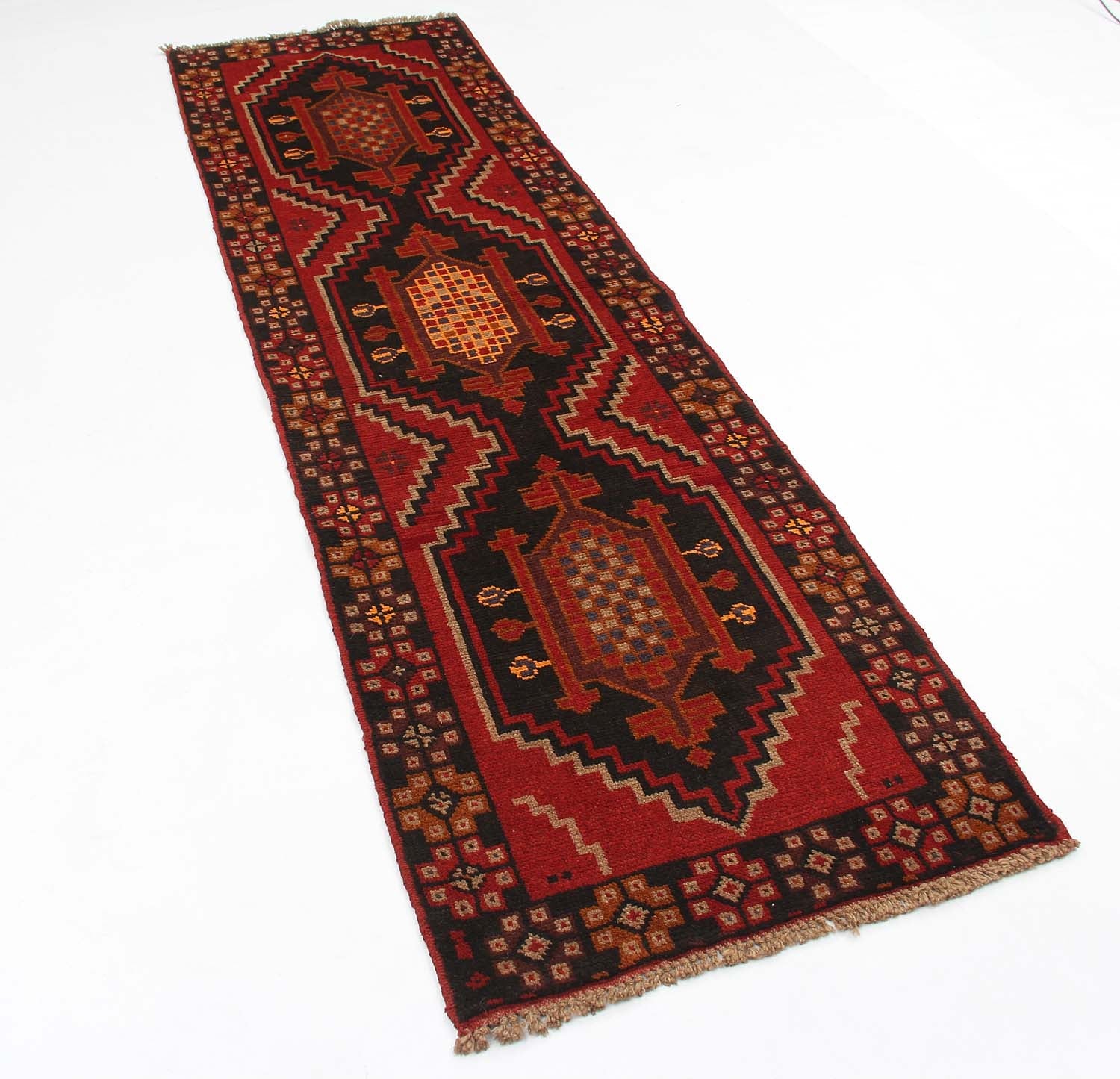 SHINDANDI BALUCHI