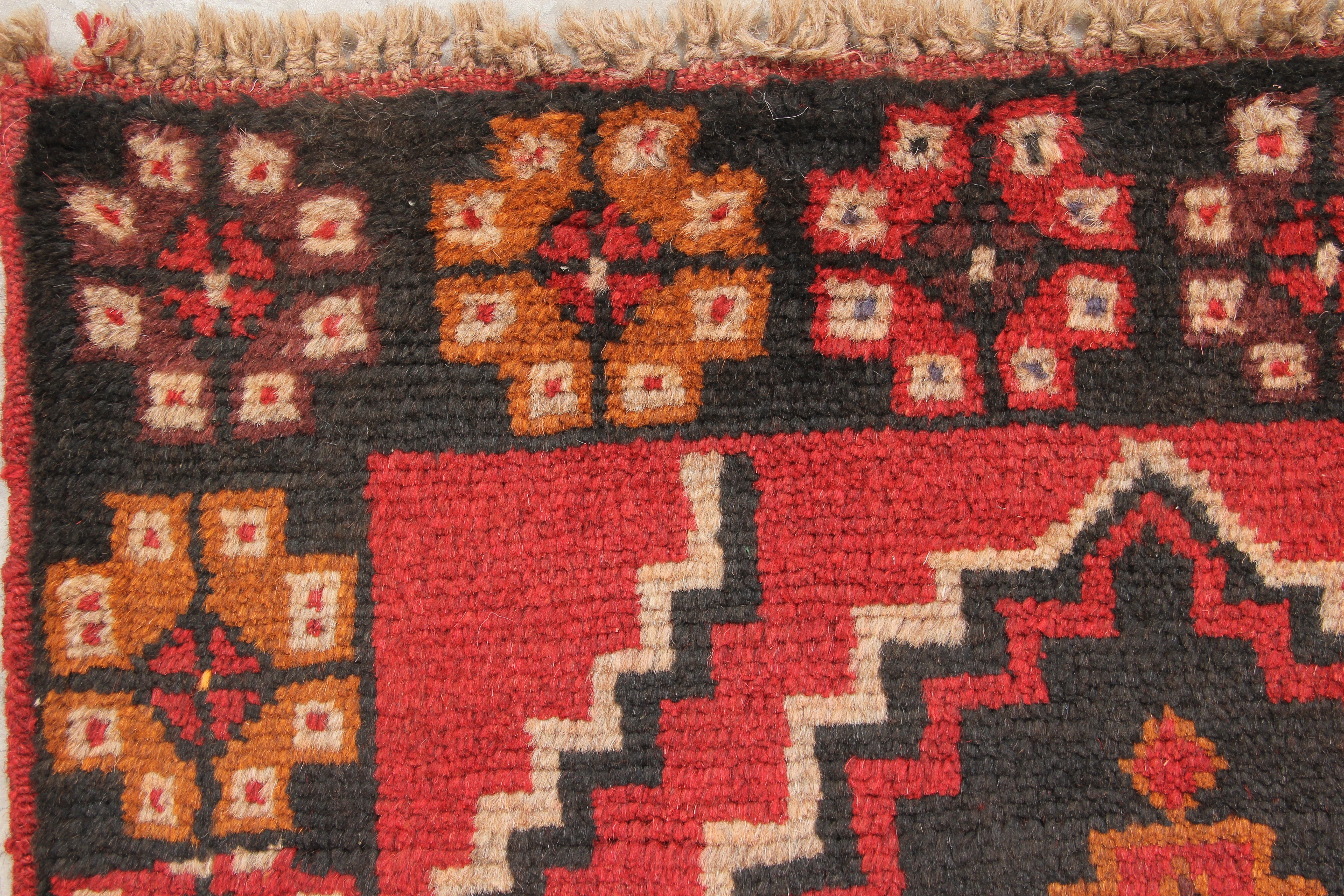 SHINDANDI BALUCHI