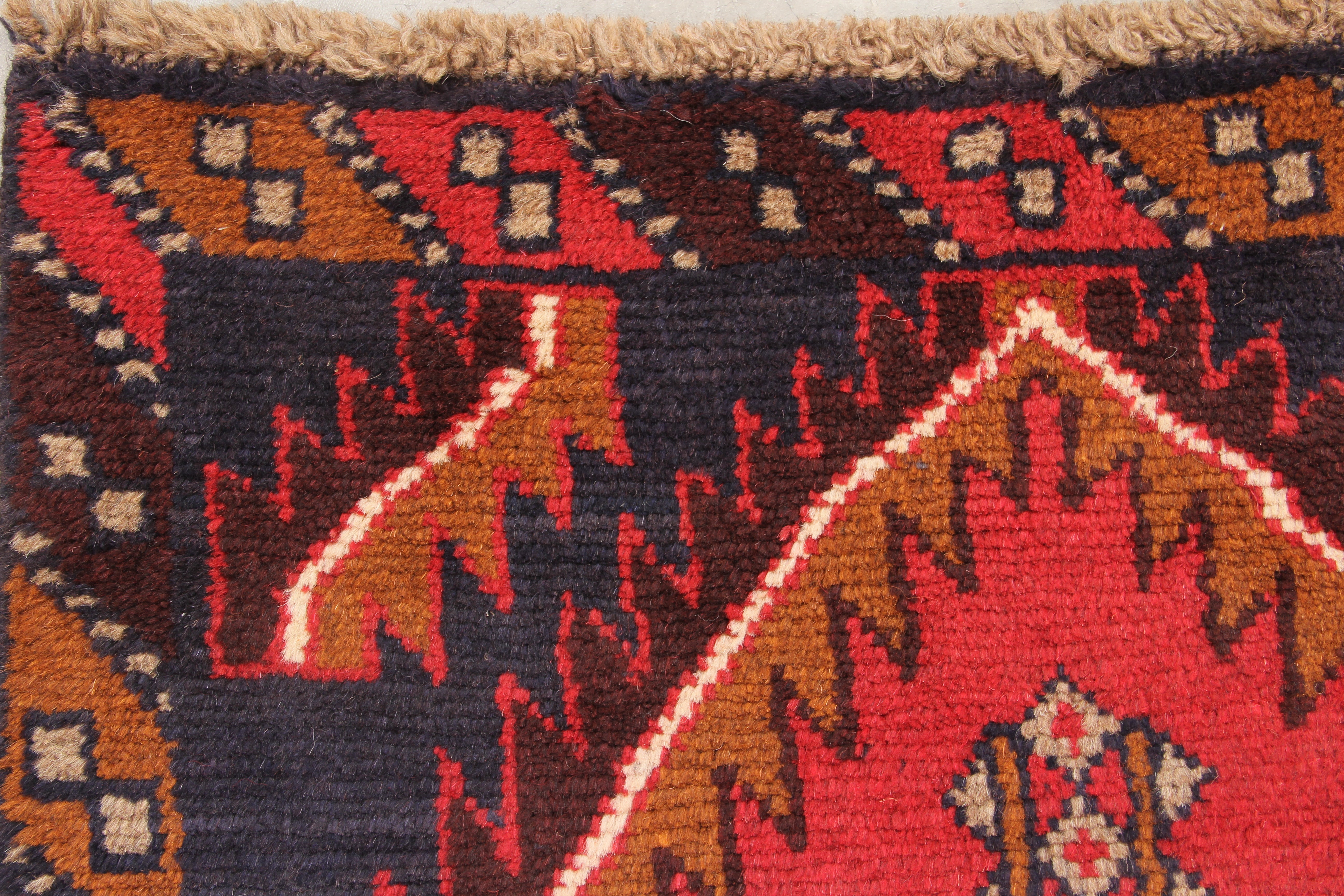 SHINDANDI BALUCHI