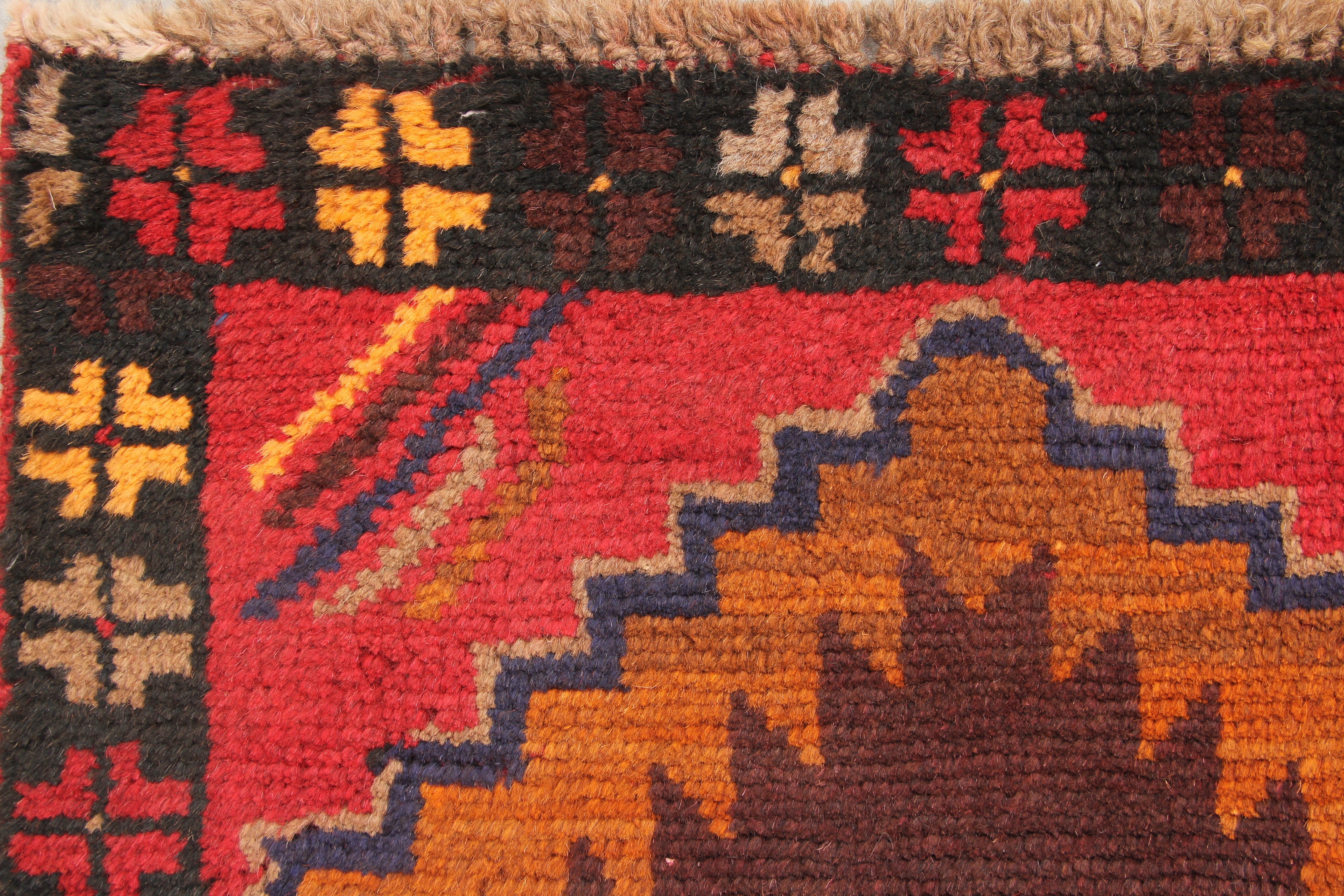 SHINDANDI BALUCHI