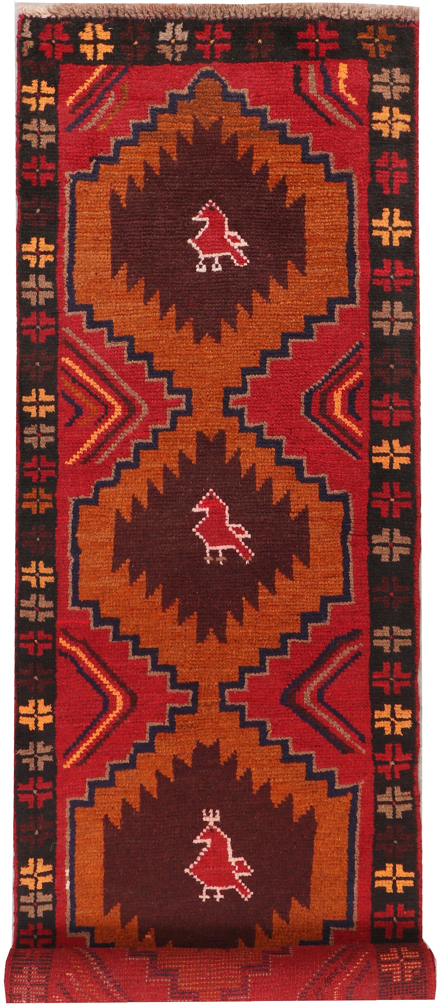 SHINDANDI BALUCHI