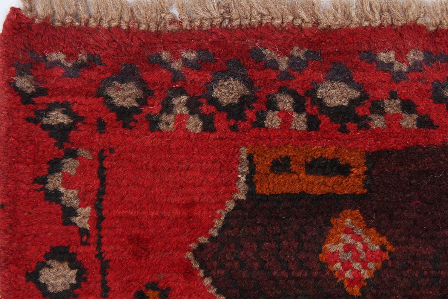 SHINDANDI BALUCHI
