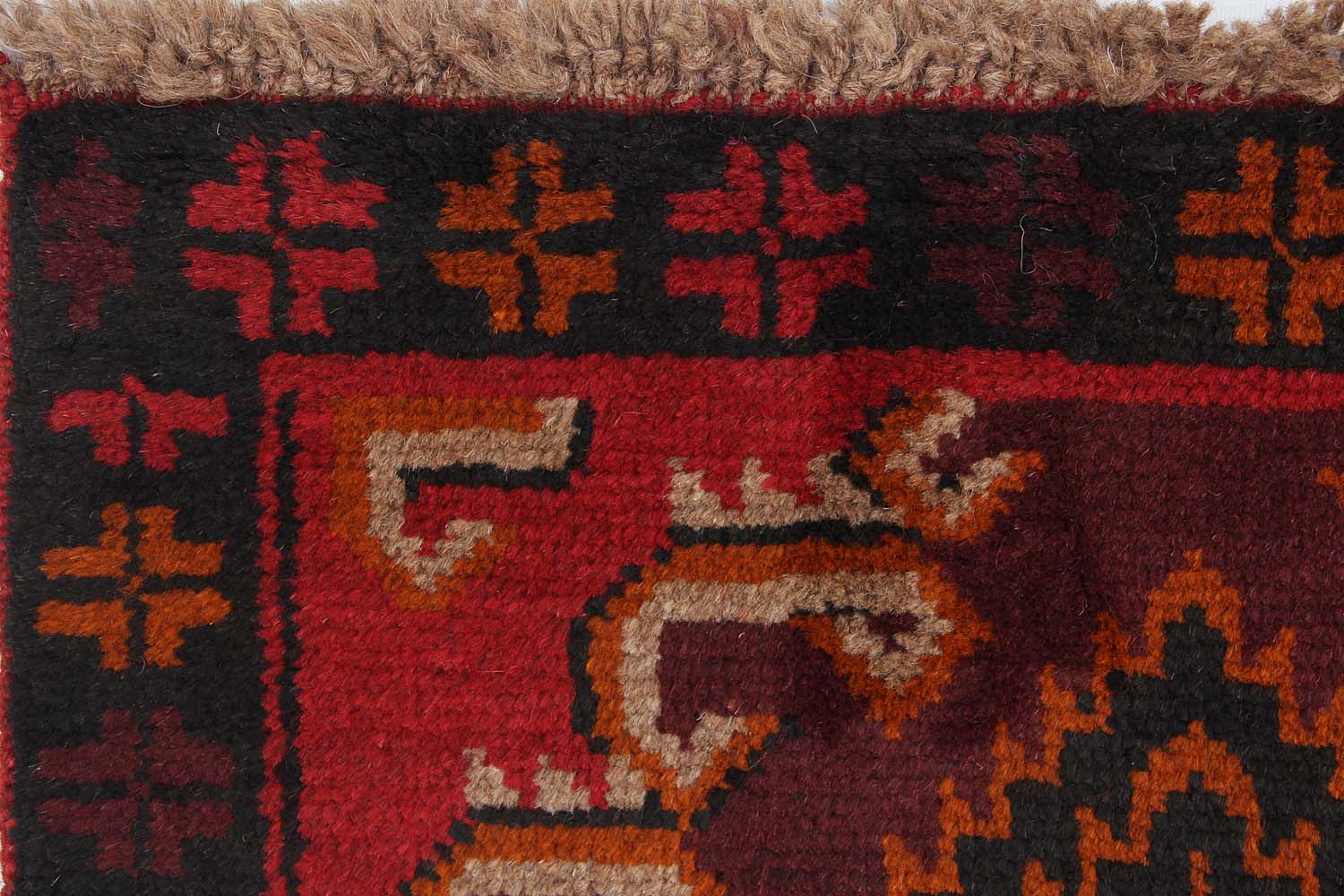 SHINDANDI BALUCHI