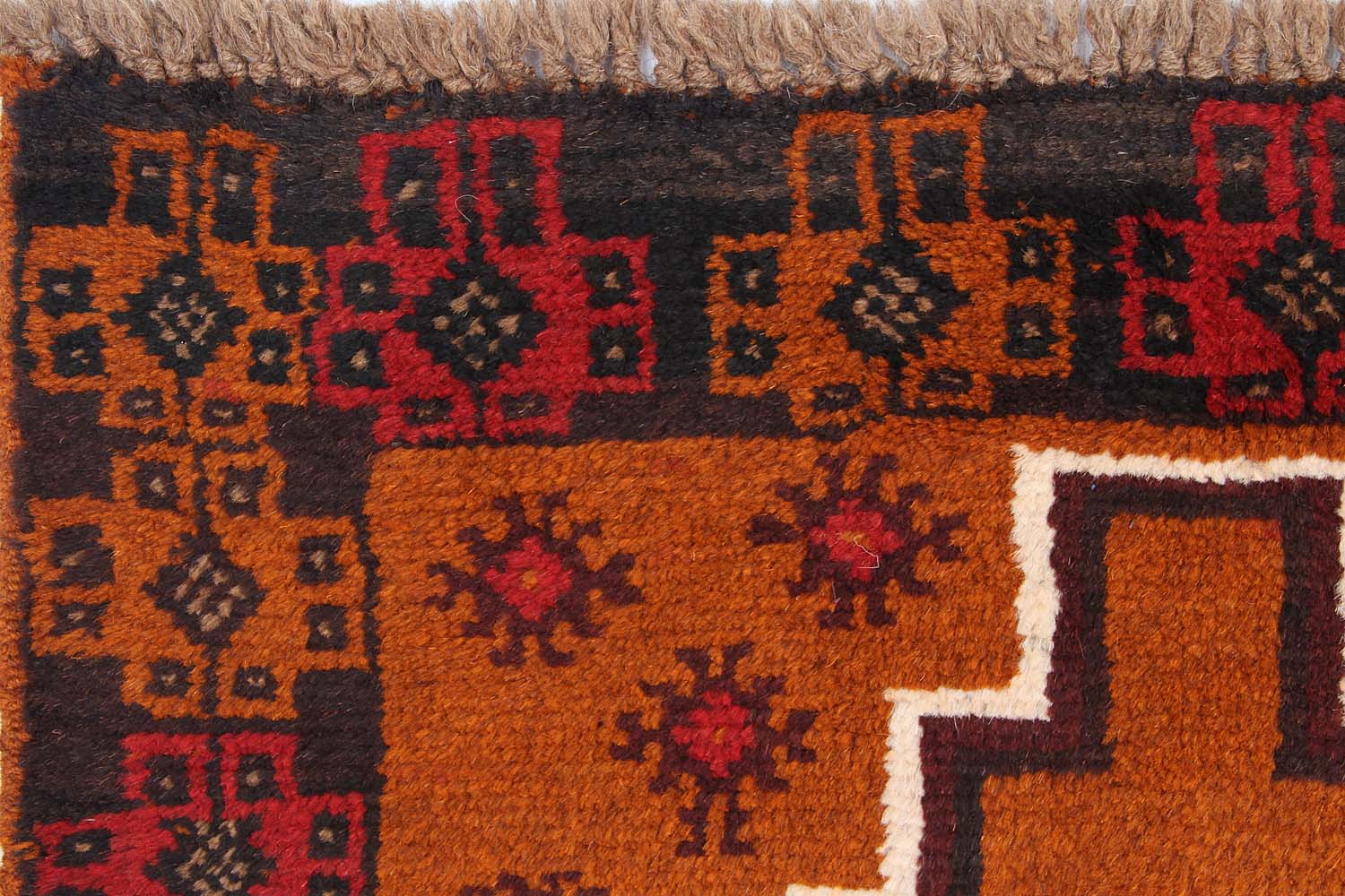 SHINDANDI BALUCHI