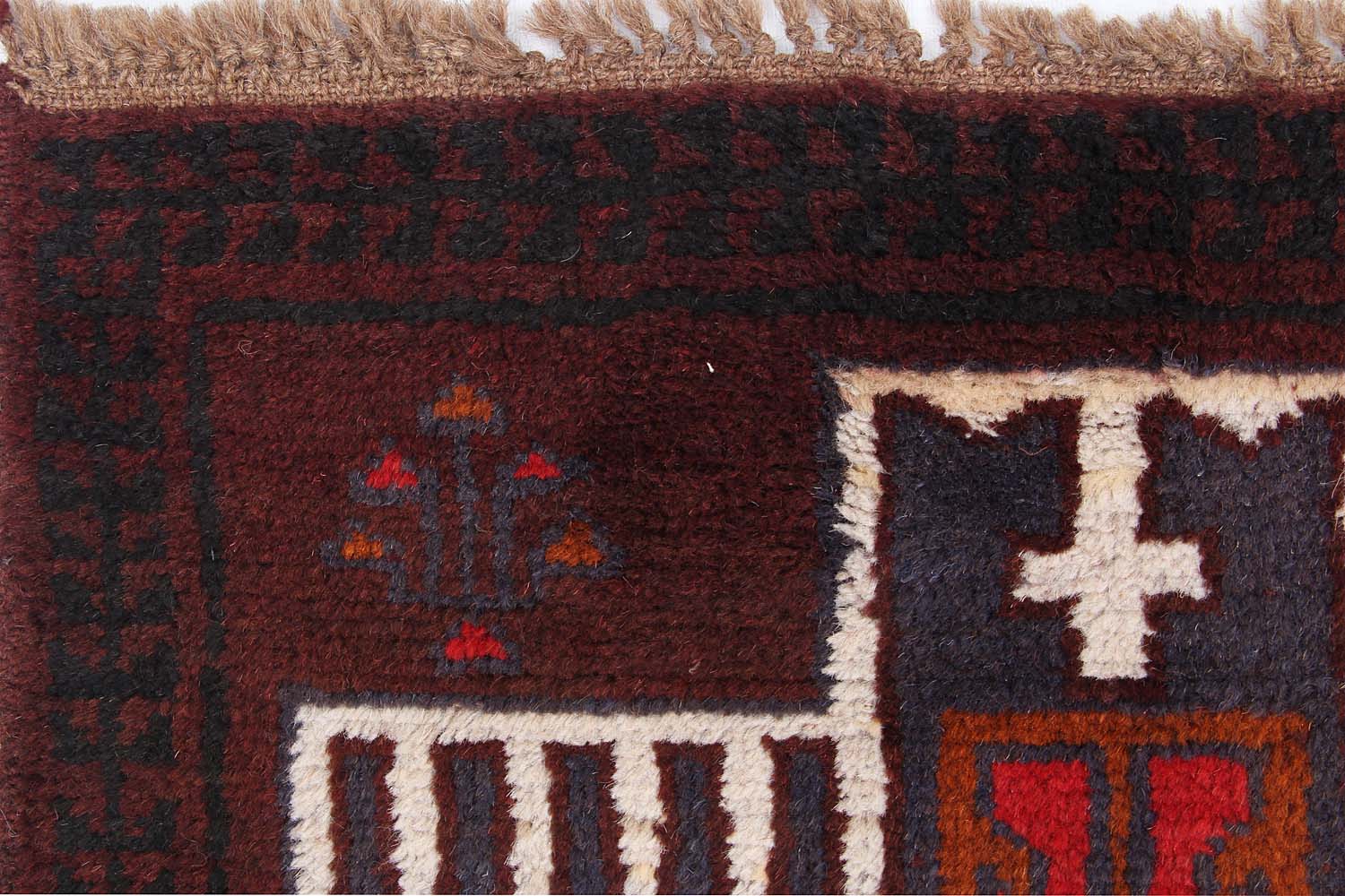 SHINDANDI BALUCHI