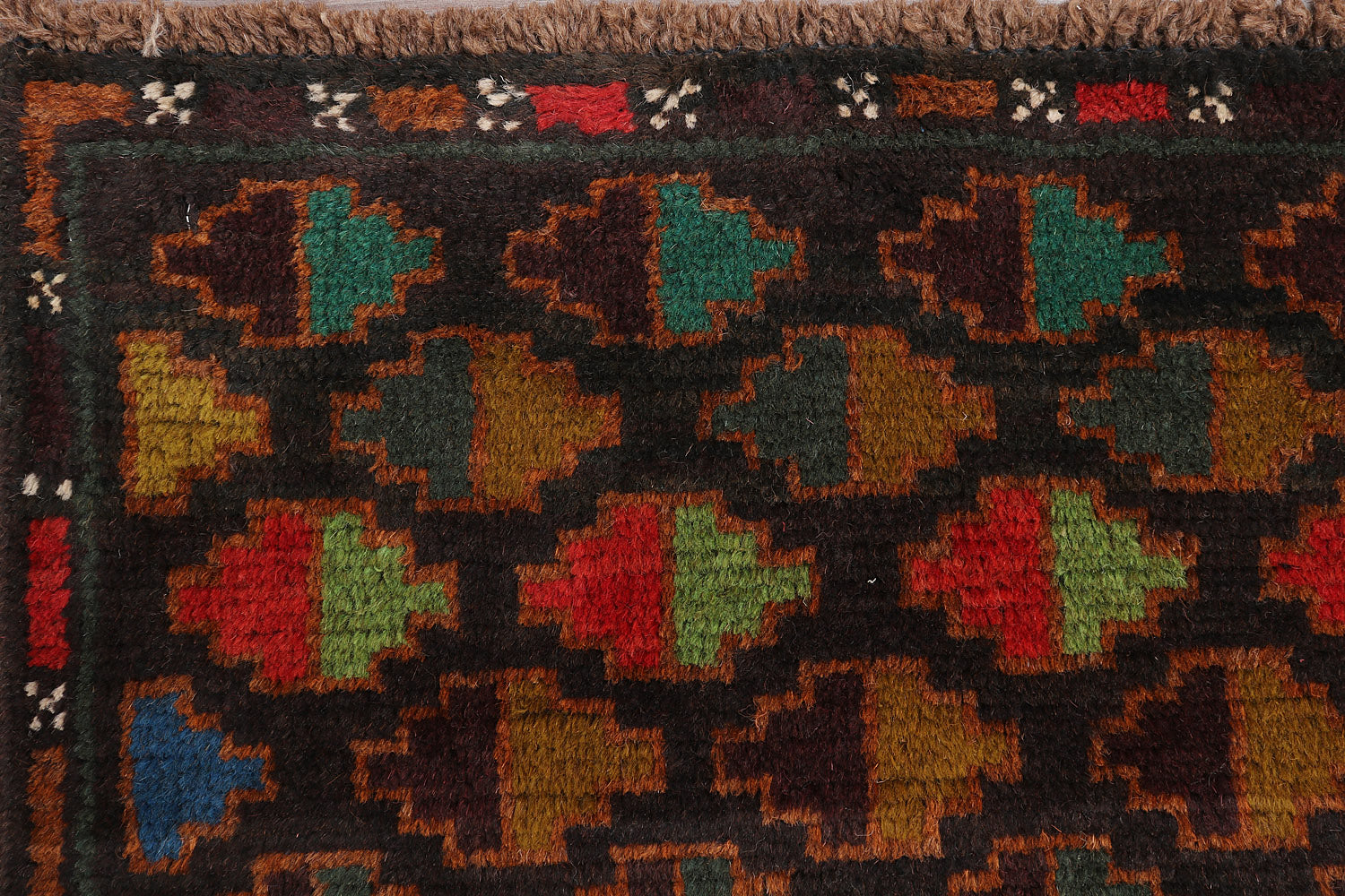 SHINDANDI BALUCHI