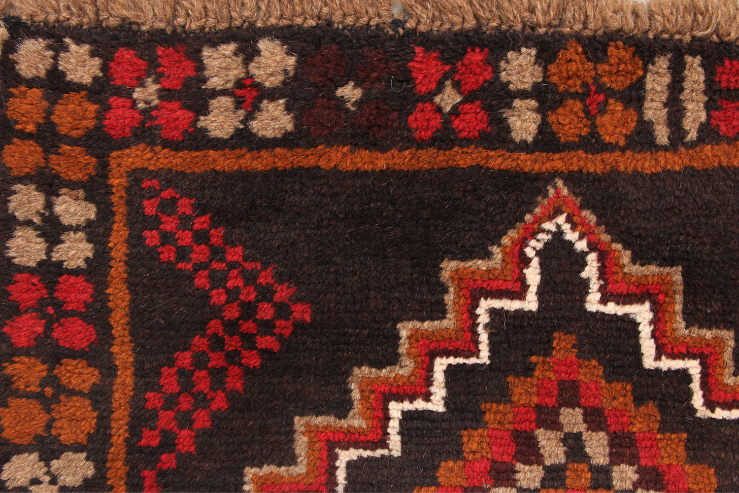 SHINDANDI BALUCHI