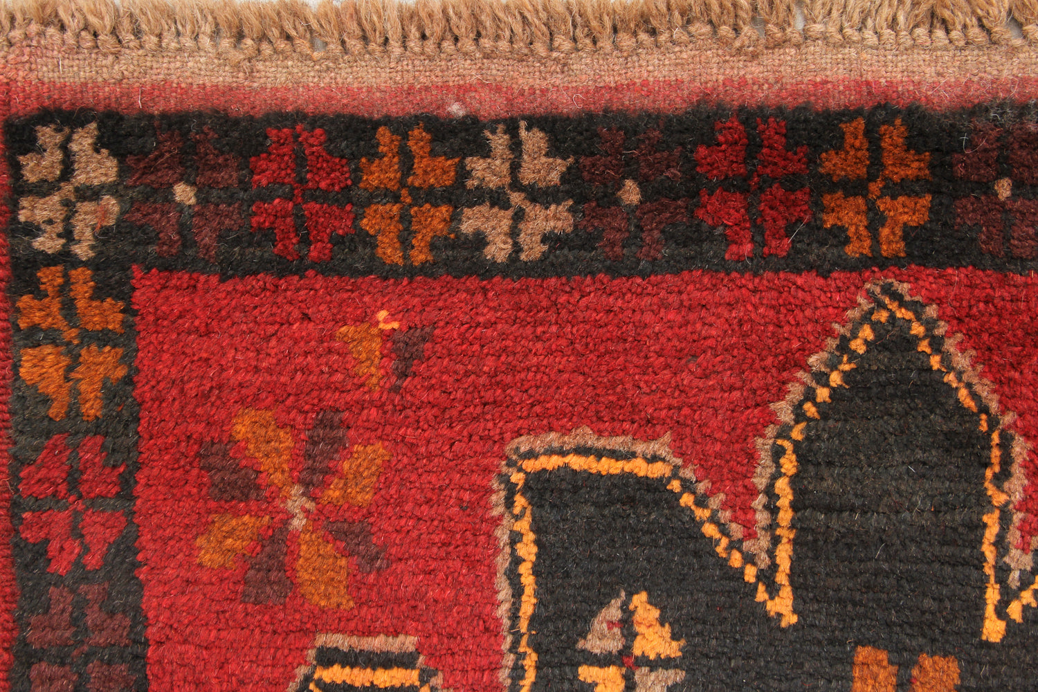 SHINDANDI BALUCHI
