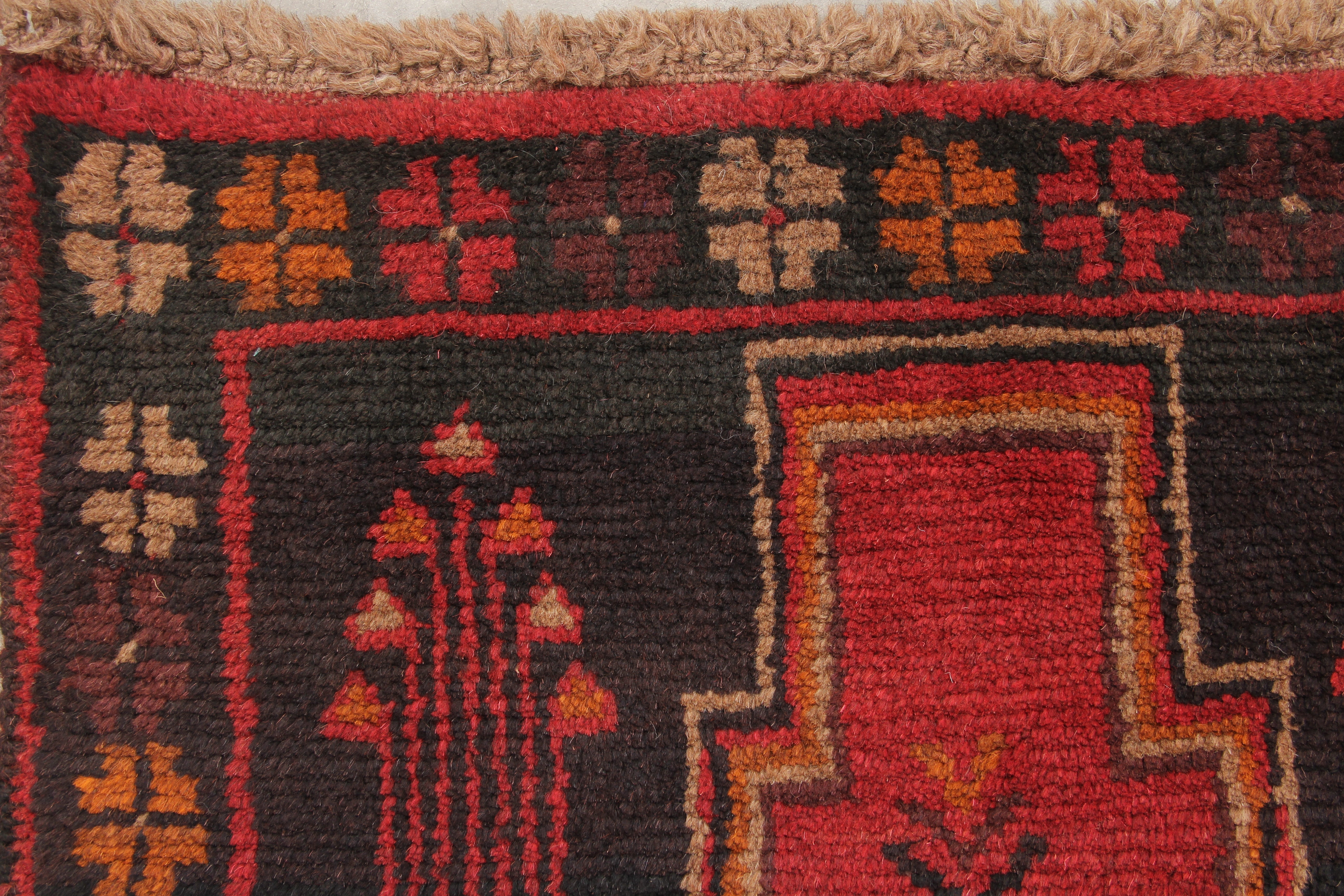 SHINDANDI BALUCHI