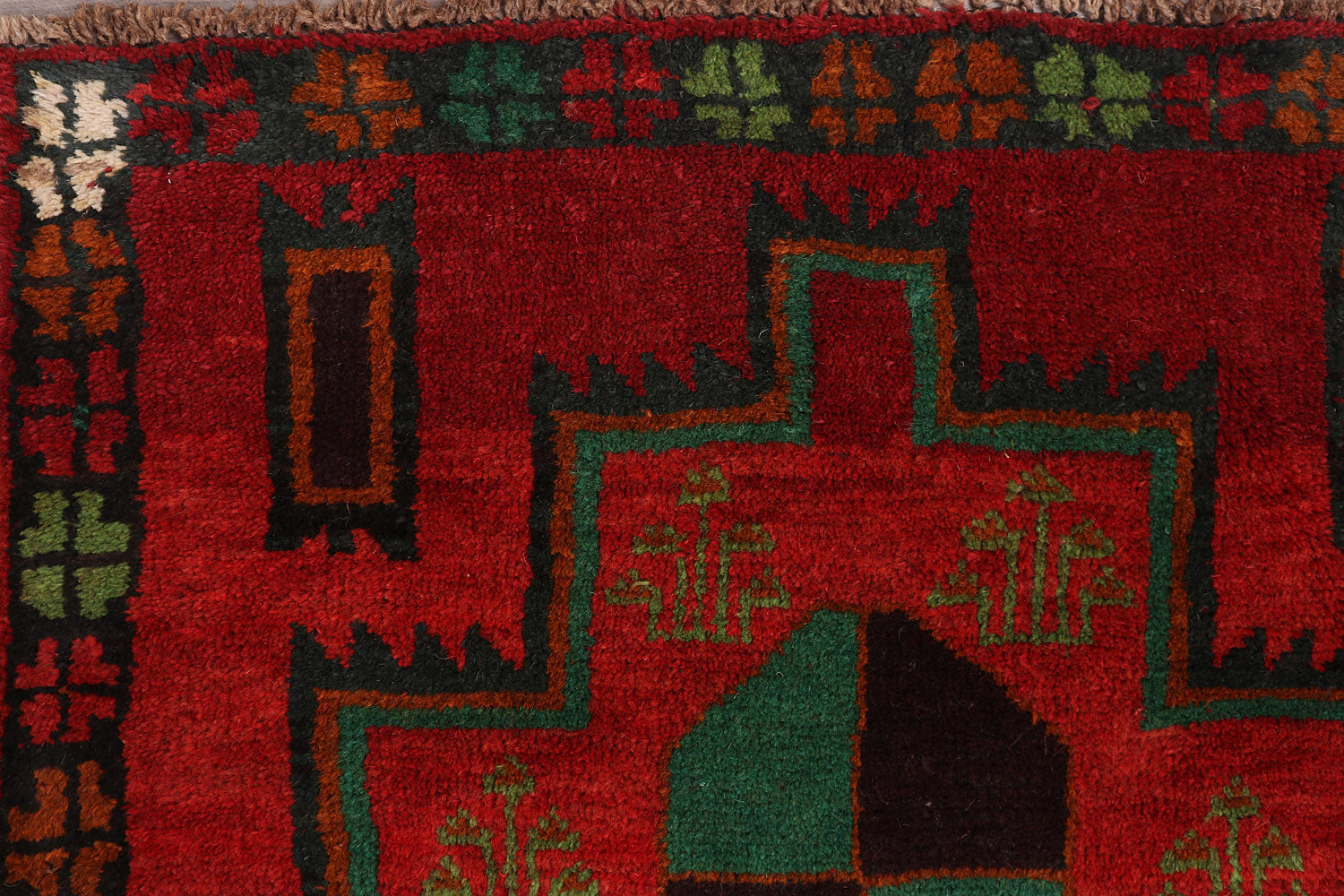 SHINDANDI BALUCHI