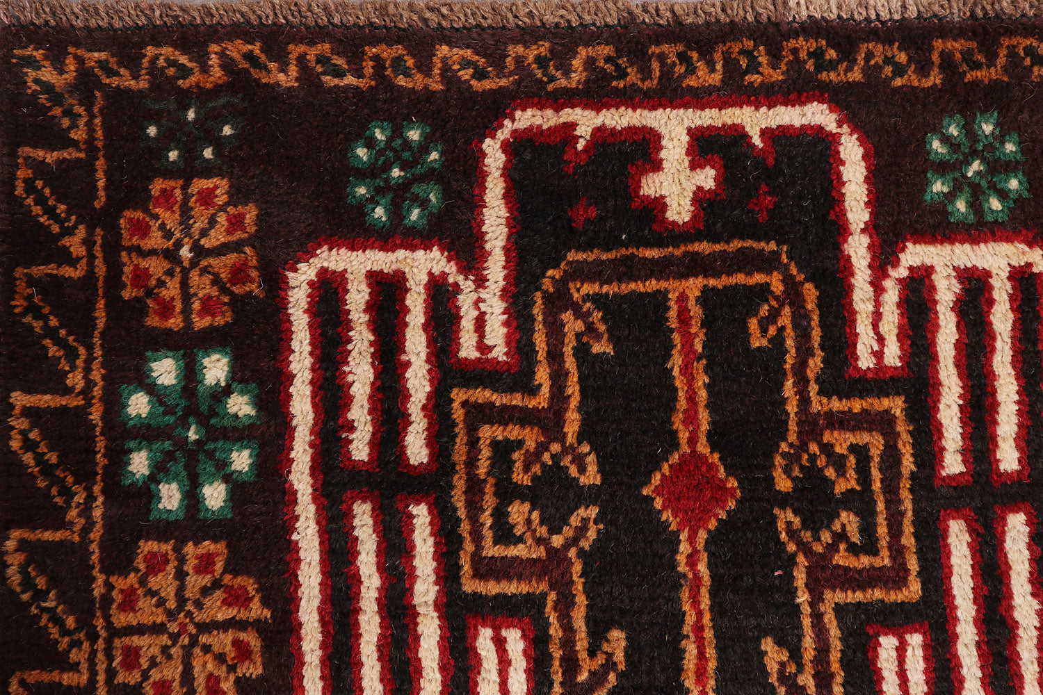 SHINDANDI BALUCHI