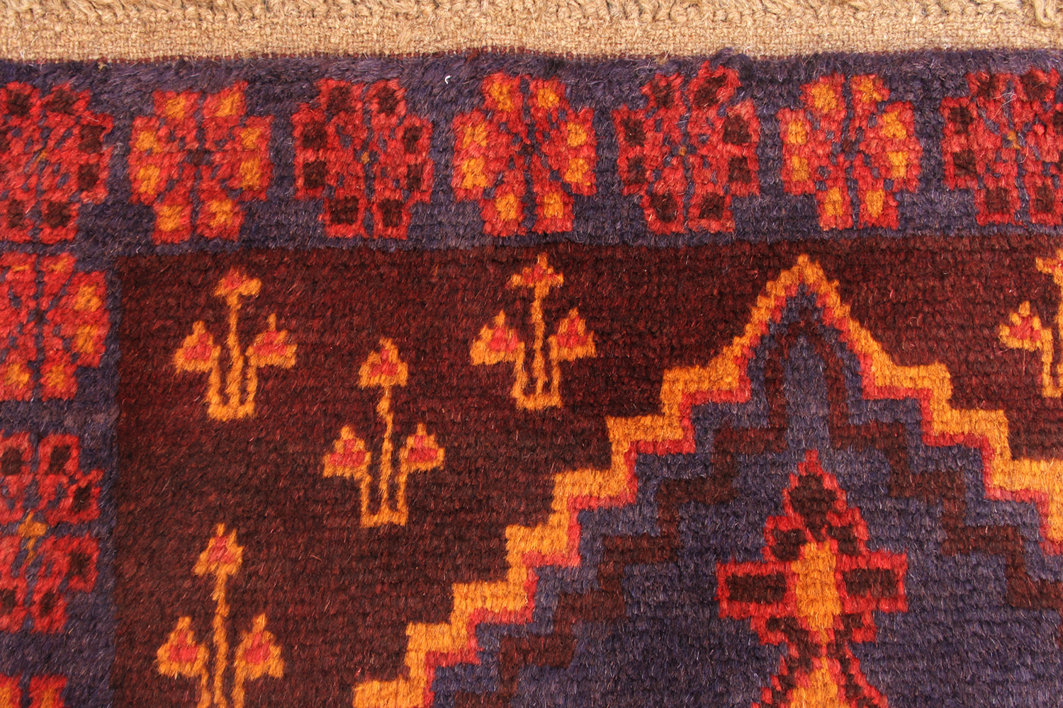 SHINDANDI BALUCHI