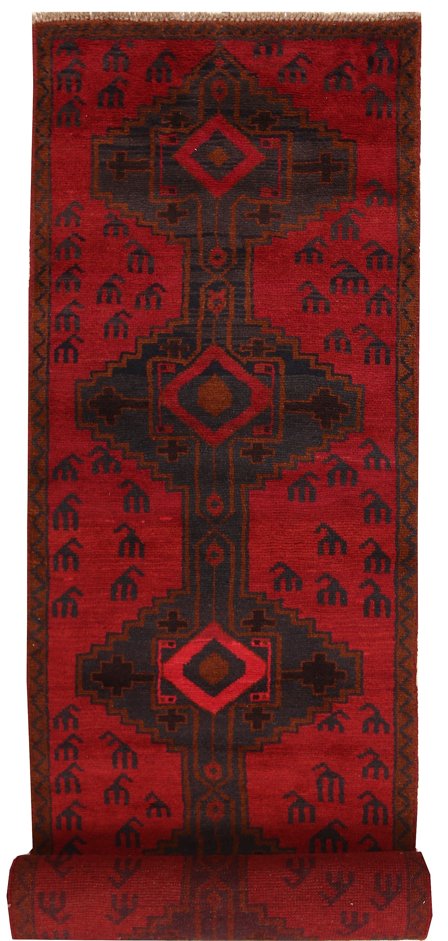 SHINDANDI BALUCHI