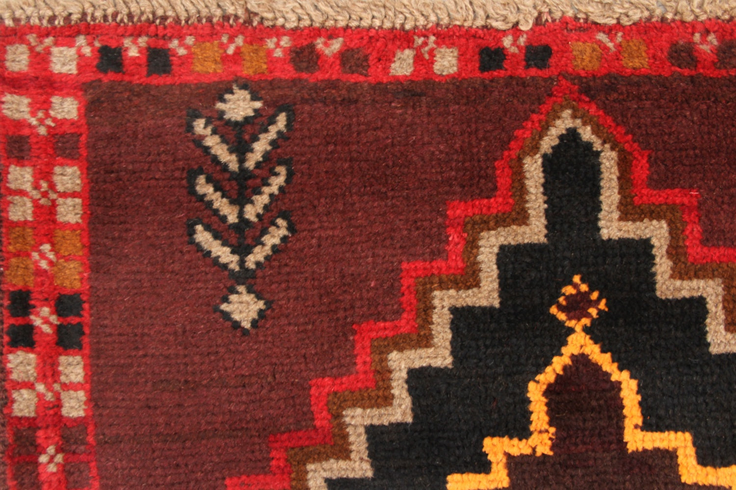 SHINDANDI BALUCHI