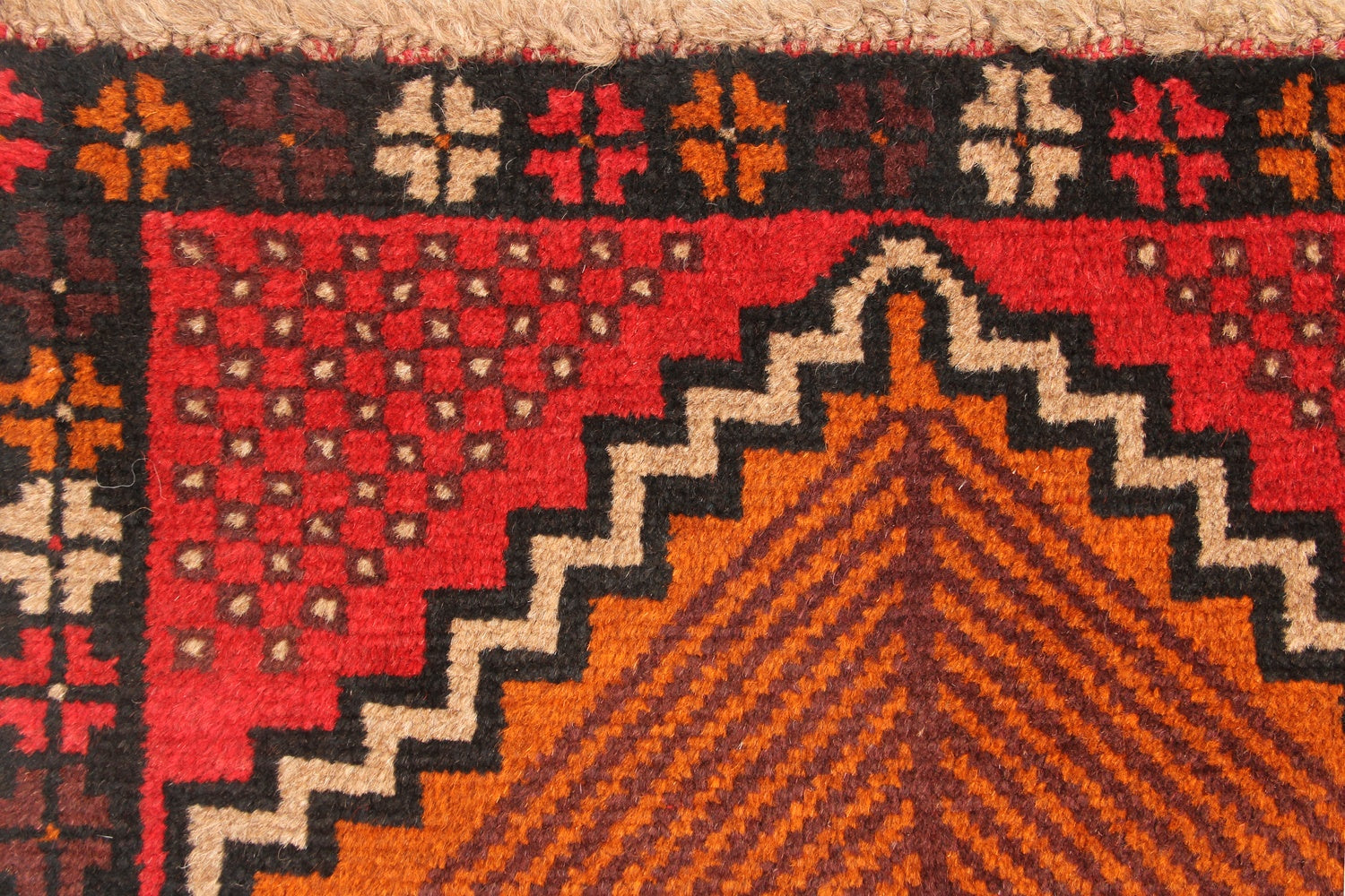 SHINDANDI BALUCHI