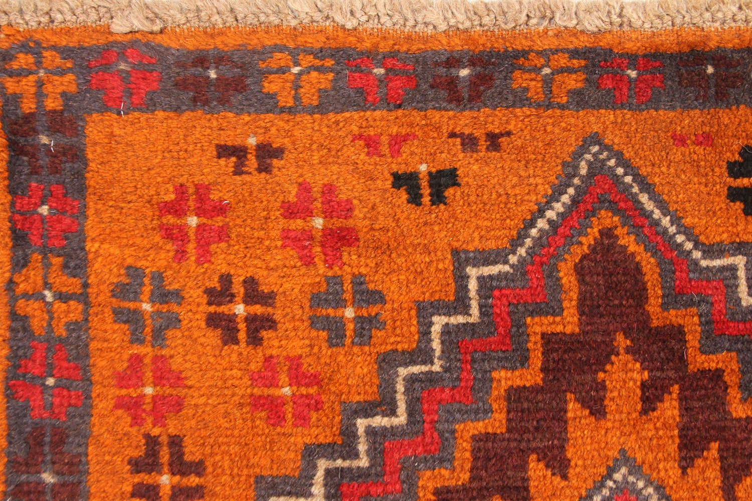 SHINDANDI BALUCHI