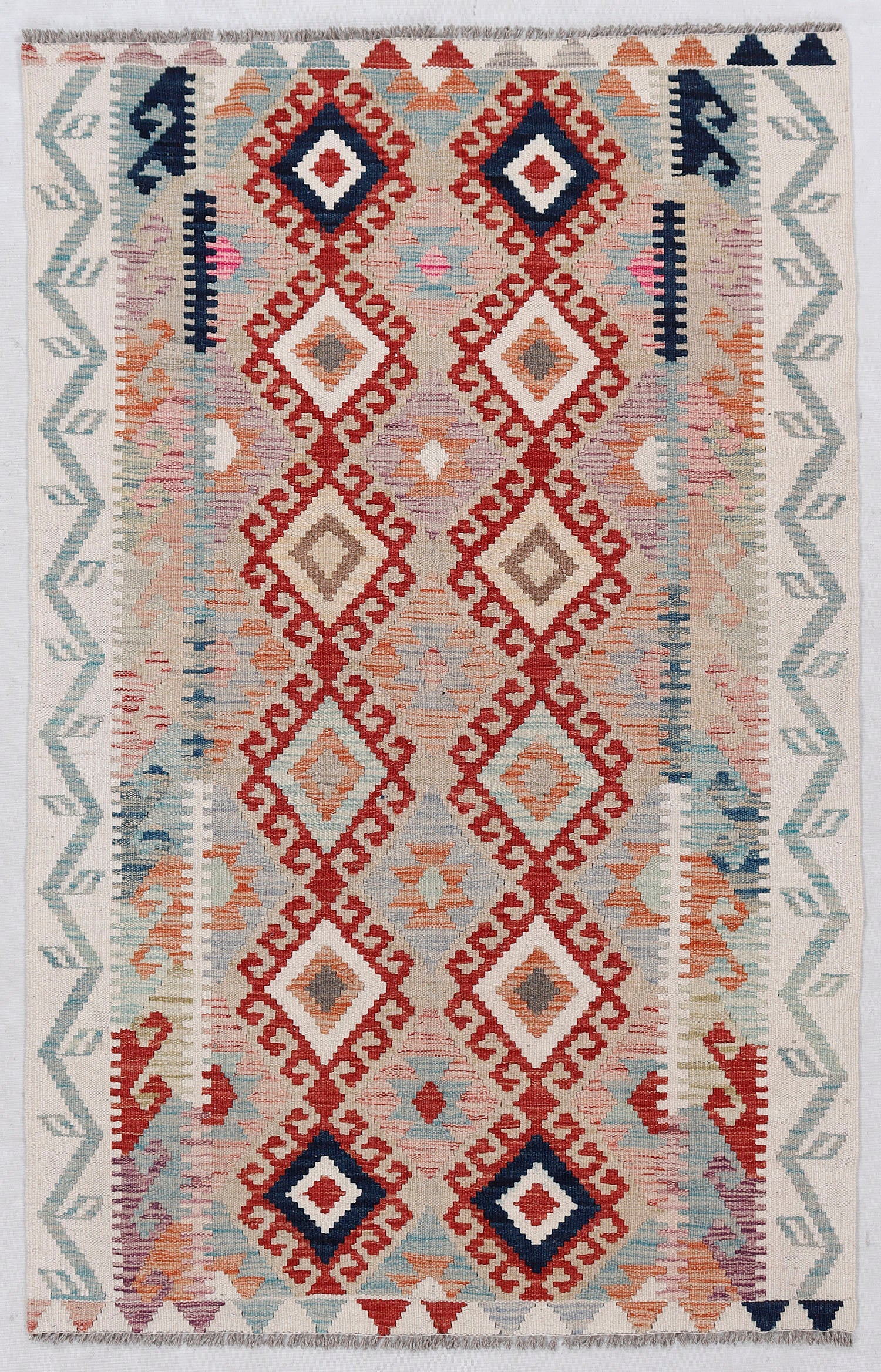 VEGGIE DYE KILIMS