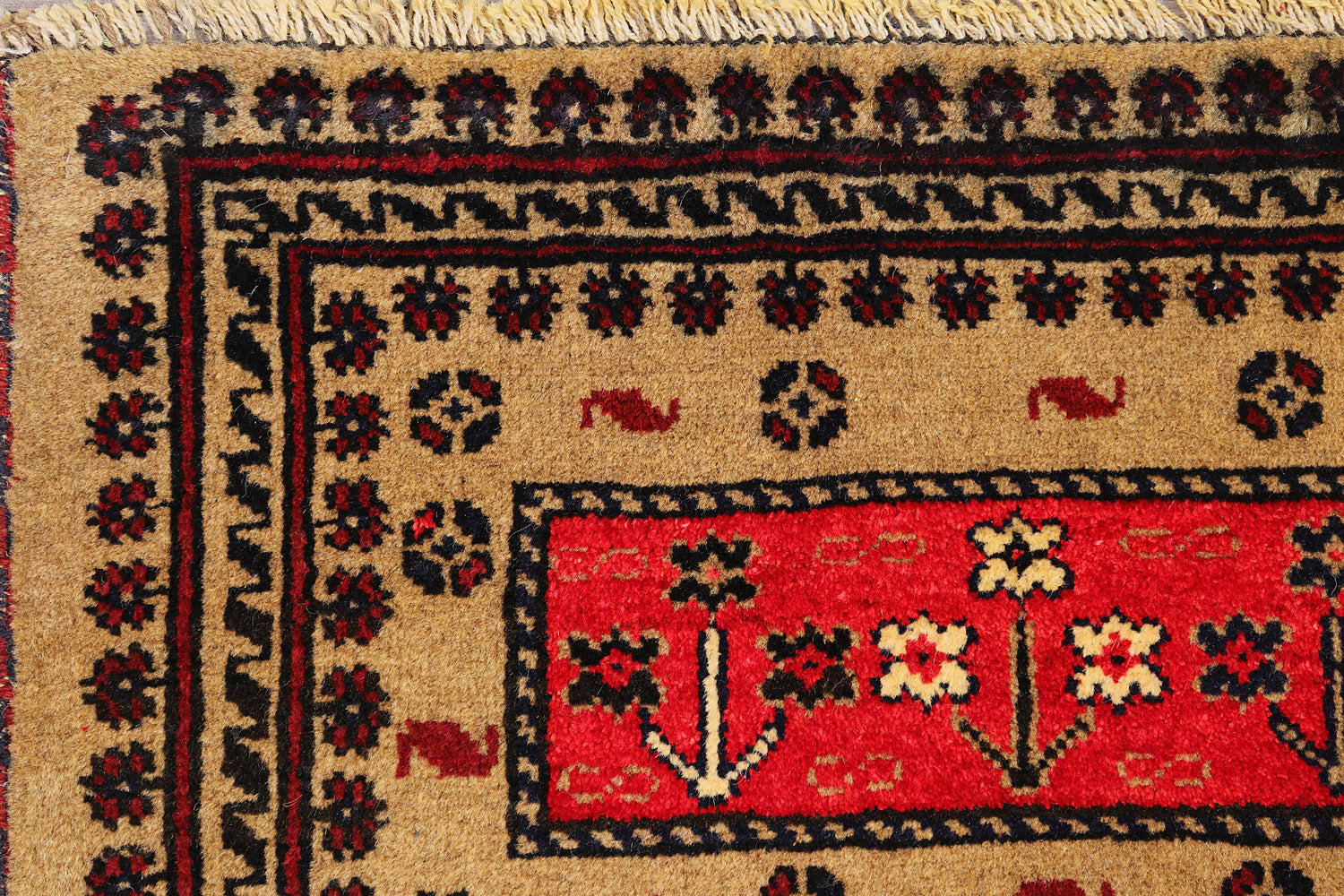 ADRASKAN BALUCHI