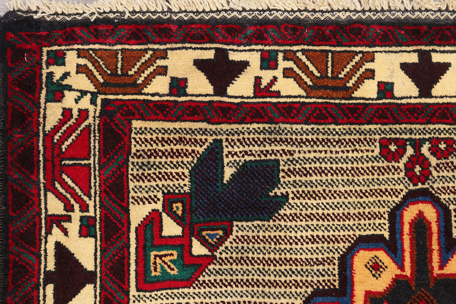 ADRASKAN BALUCHI