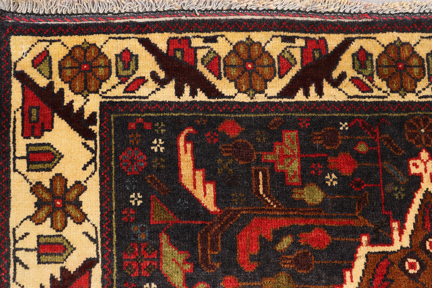 ADRASKAN BALUCHI