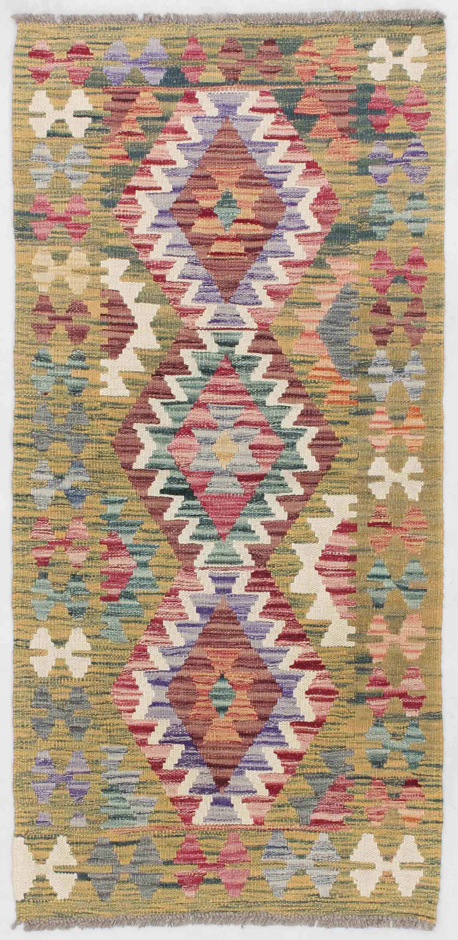 2' 6" x 4' Multy Handmade Veggie Dye Kilim Rug Rectangular
