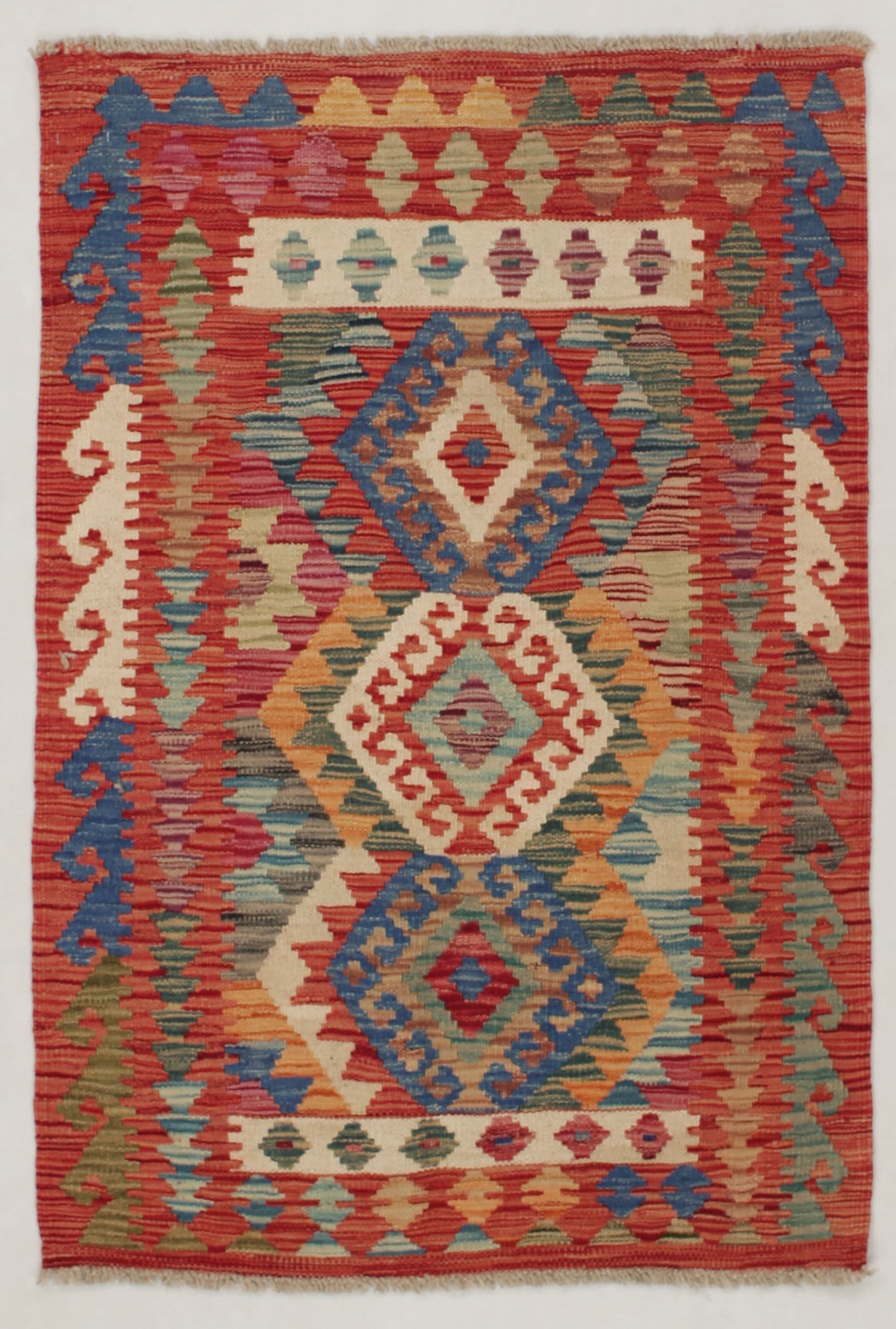 VEGGIE DYE KILIMS