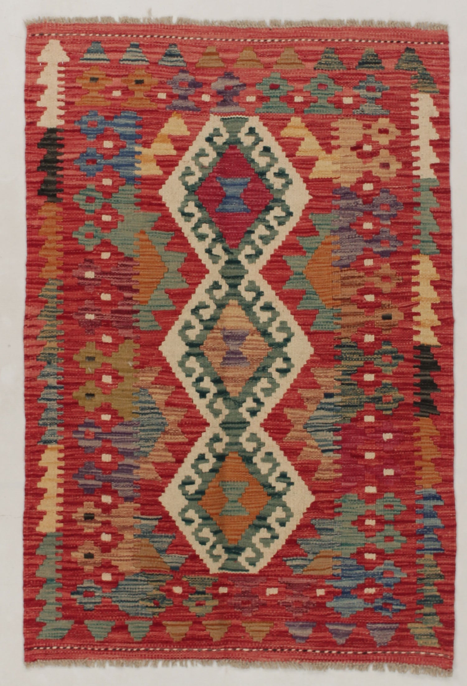 VEGGIE DYE KILIMS