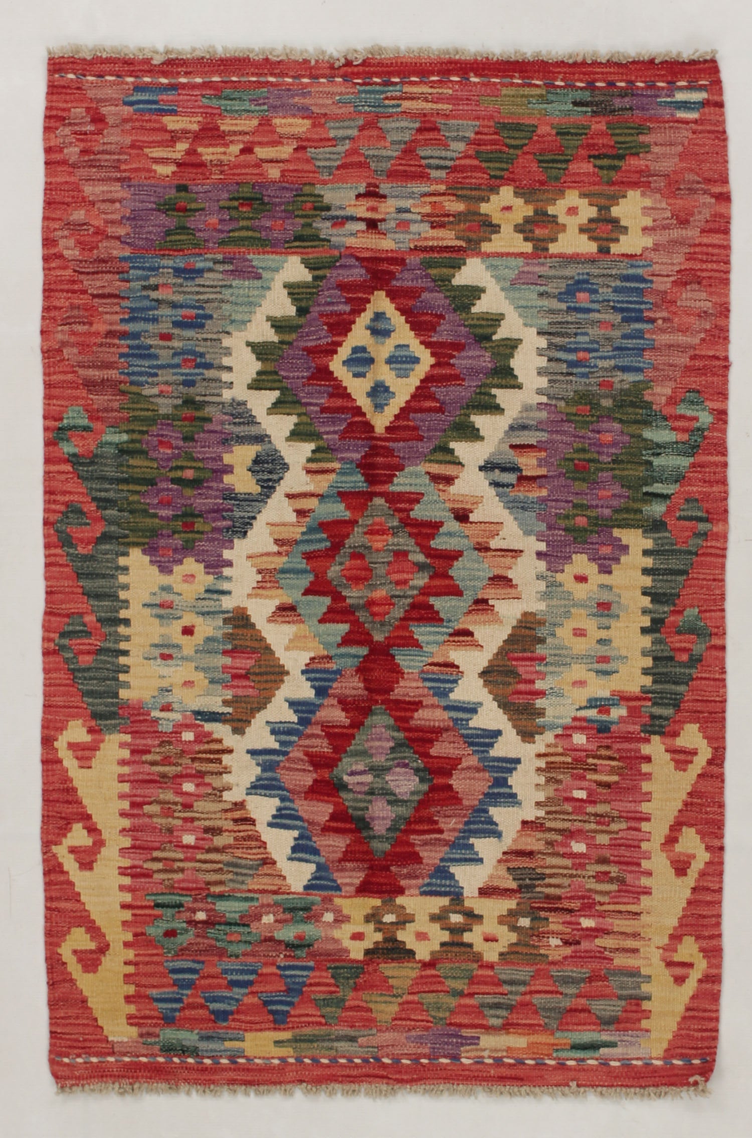 VEGGIE DYE KILIMS