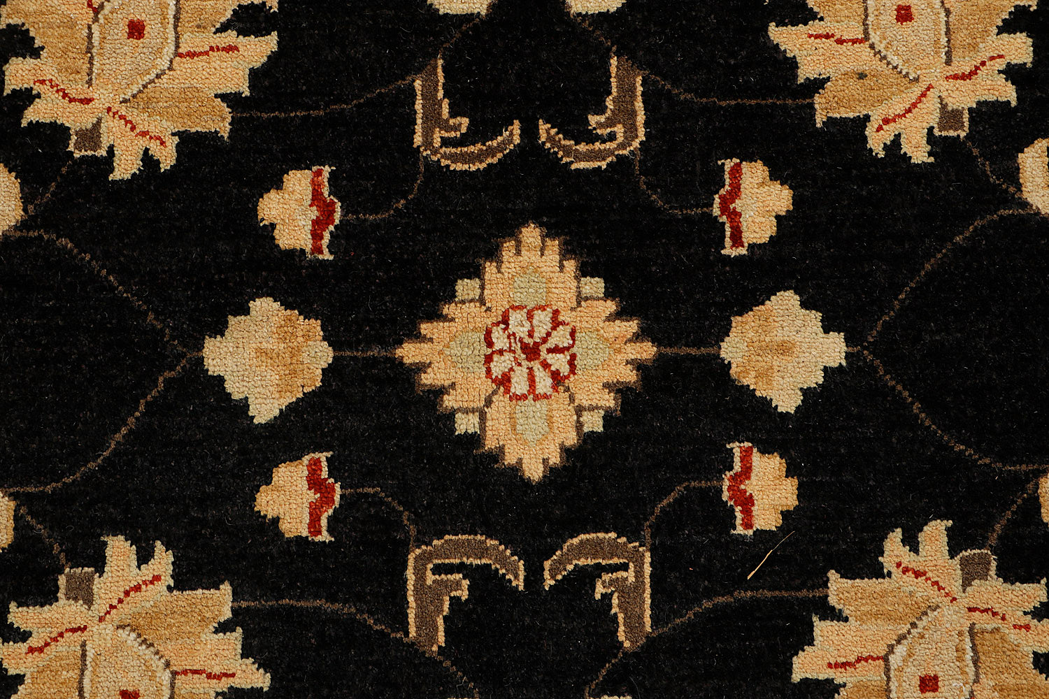 Ziegler Persian Hand Knotted Wool Rug Black 9' x 12'