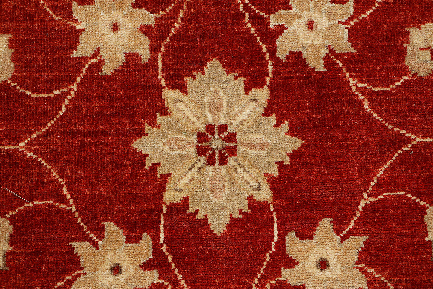 Ziegler Persian Hand Knotted Wool Rug Ivory 10' x 14'