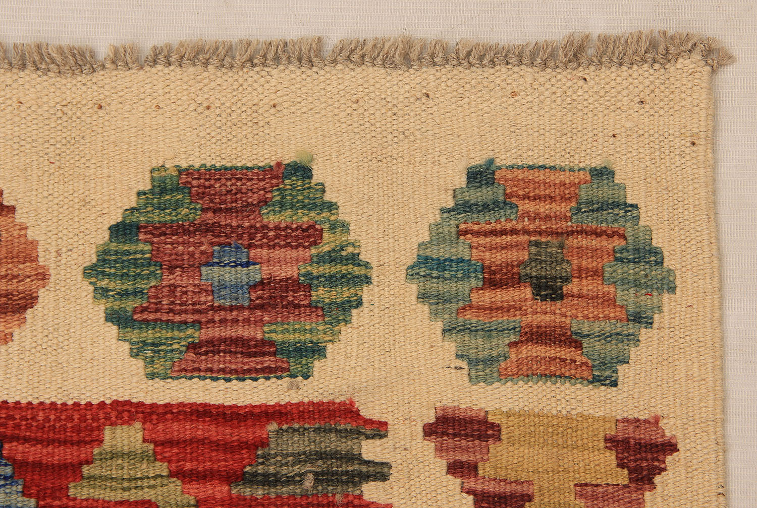VEGGIE DYE KILIMS