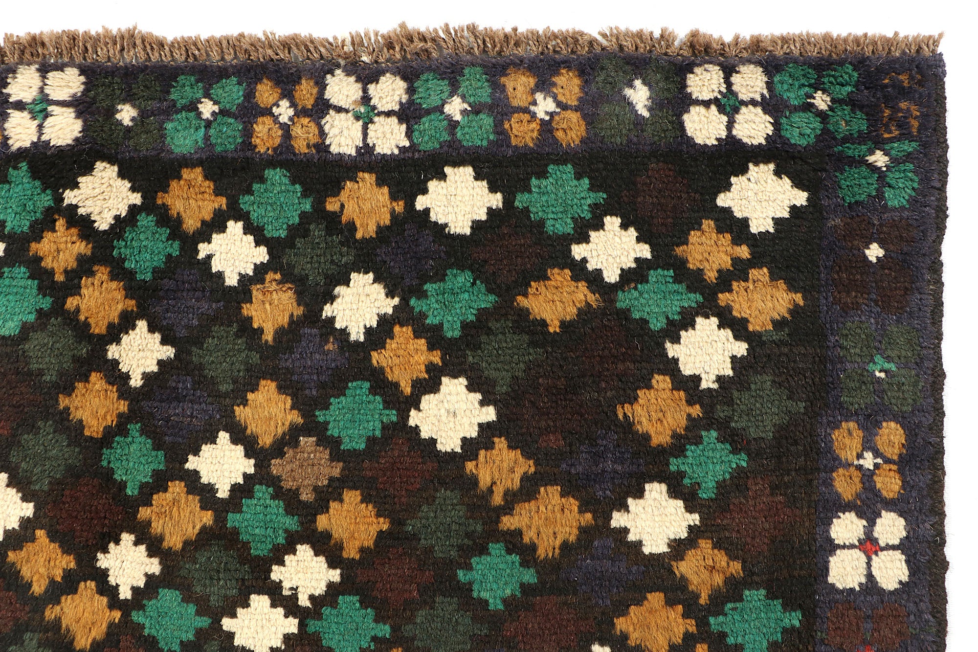 SHINDANDI BALUCHI