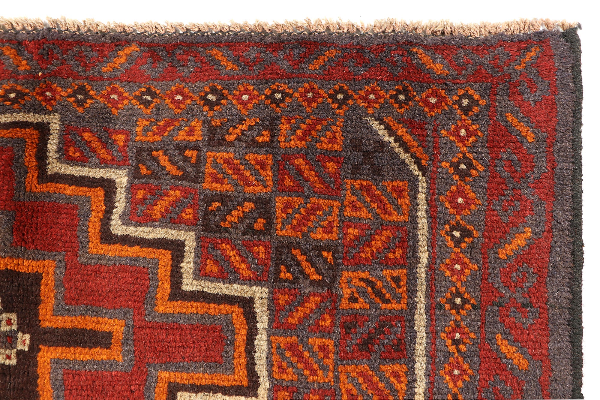 SHINDANDI BALUCHI