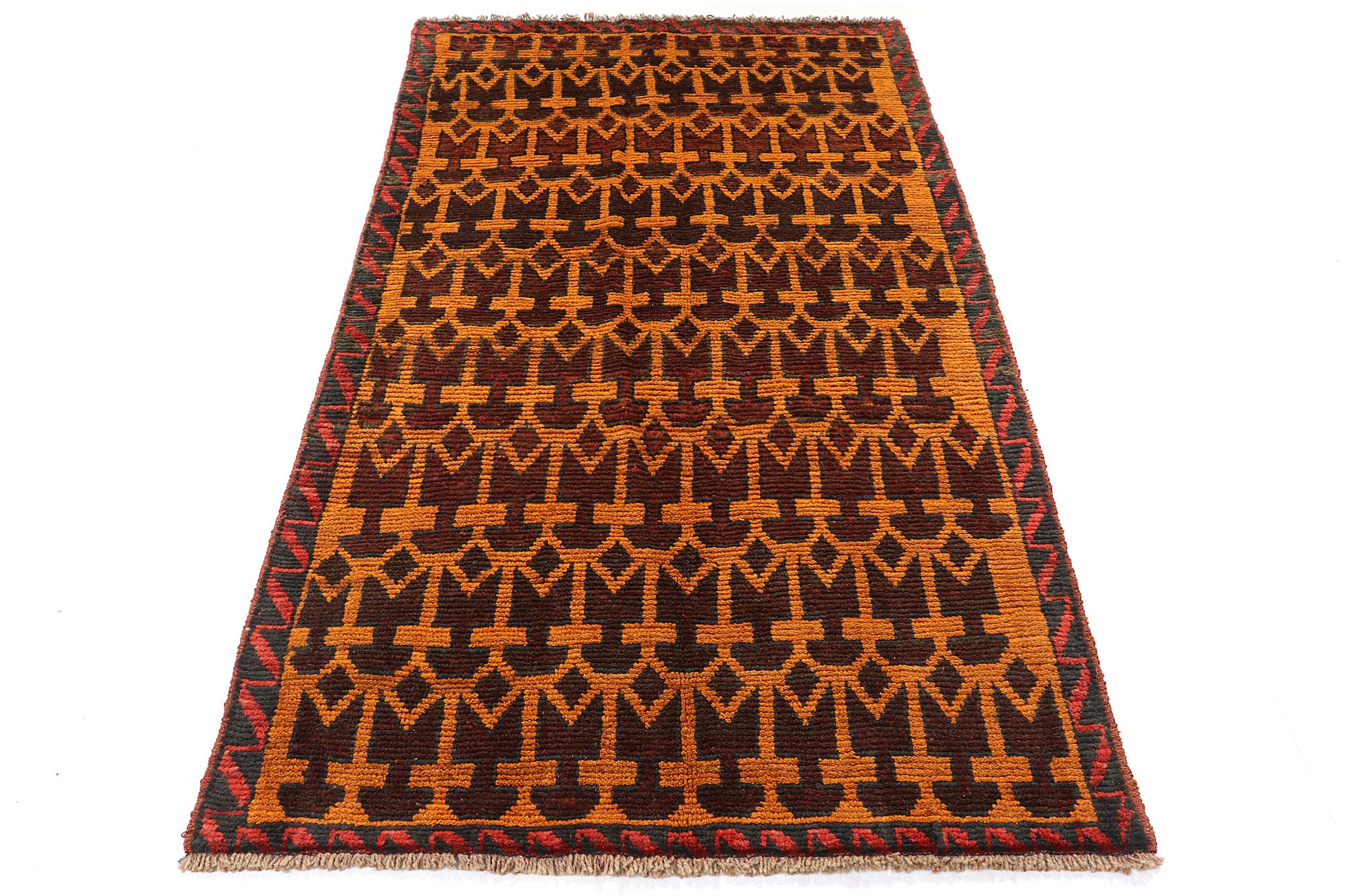 SHINDANDI BALUCHI