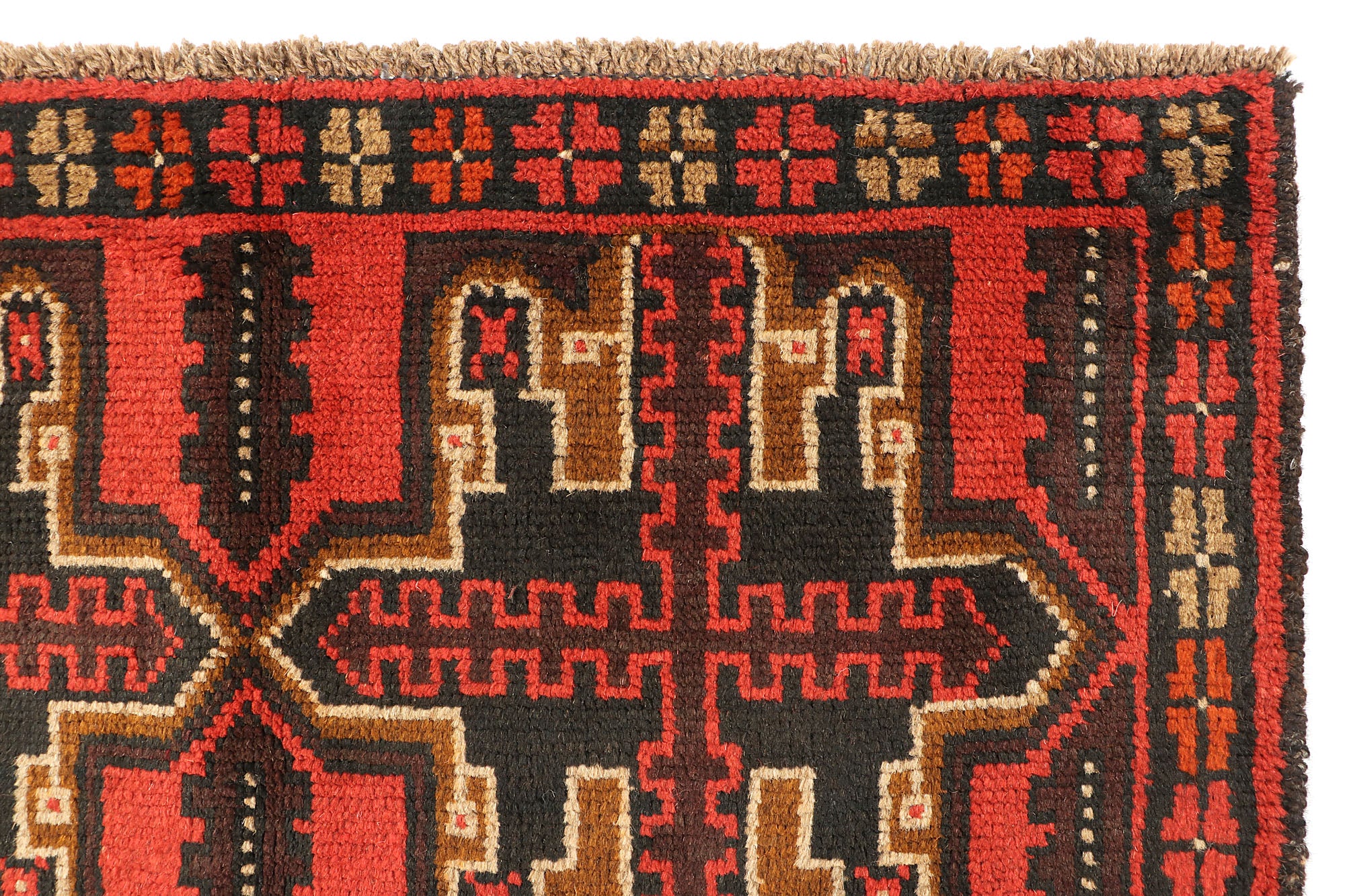 SHINDANDI BALUCHI