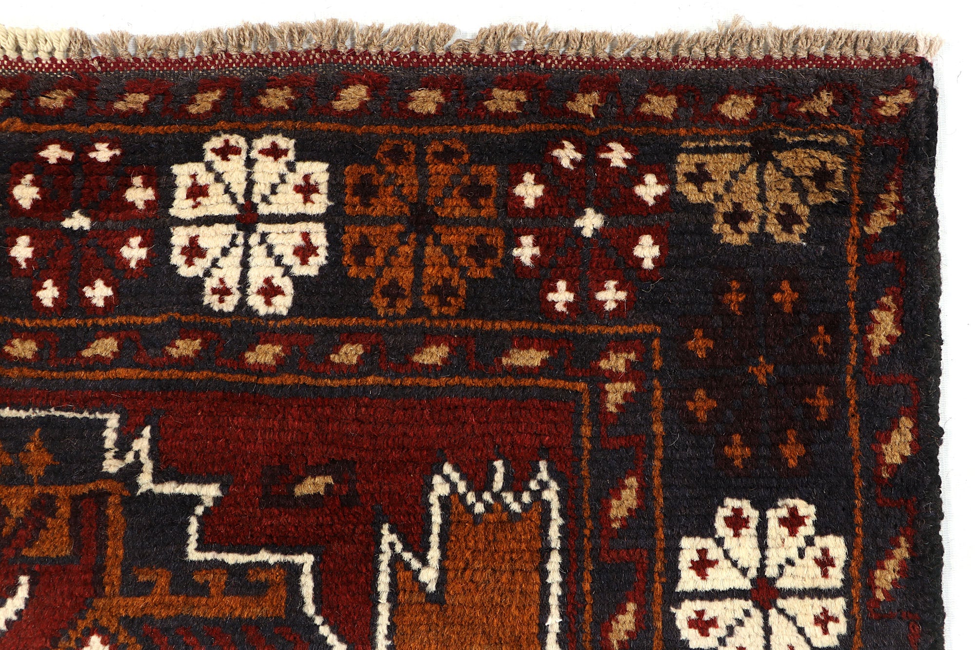 SHINDANDI BALUCHI