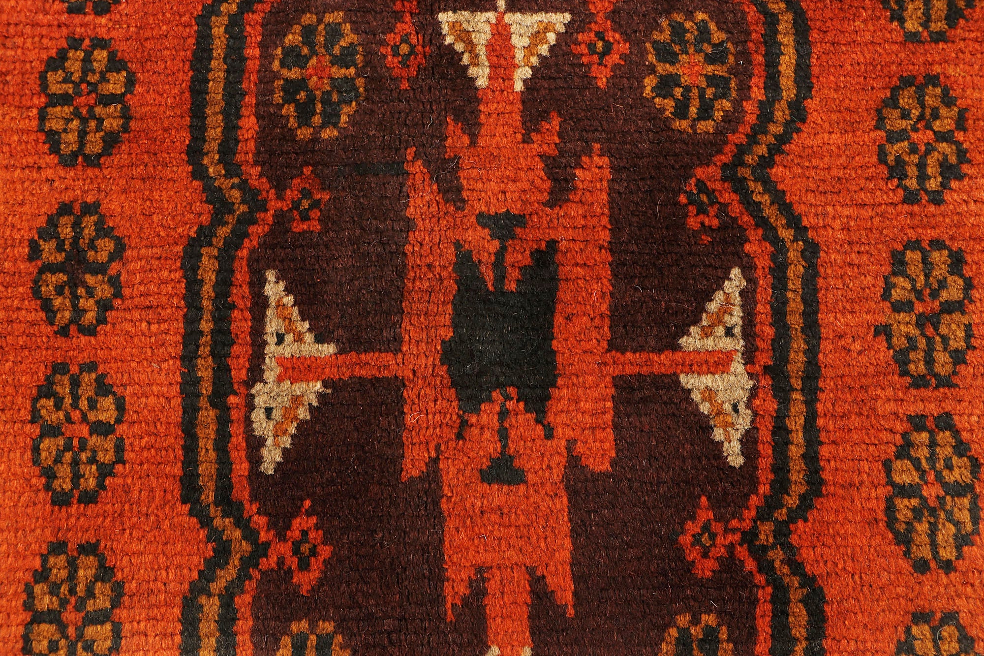 SHINDANDI BALUCHI