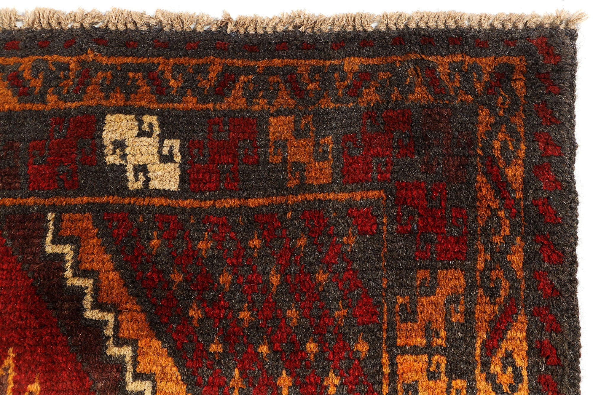 SHINDANDI BALUCHI