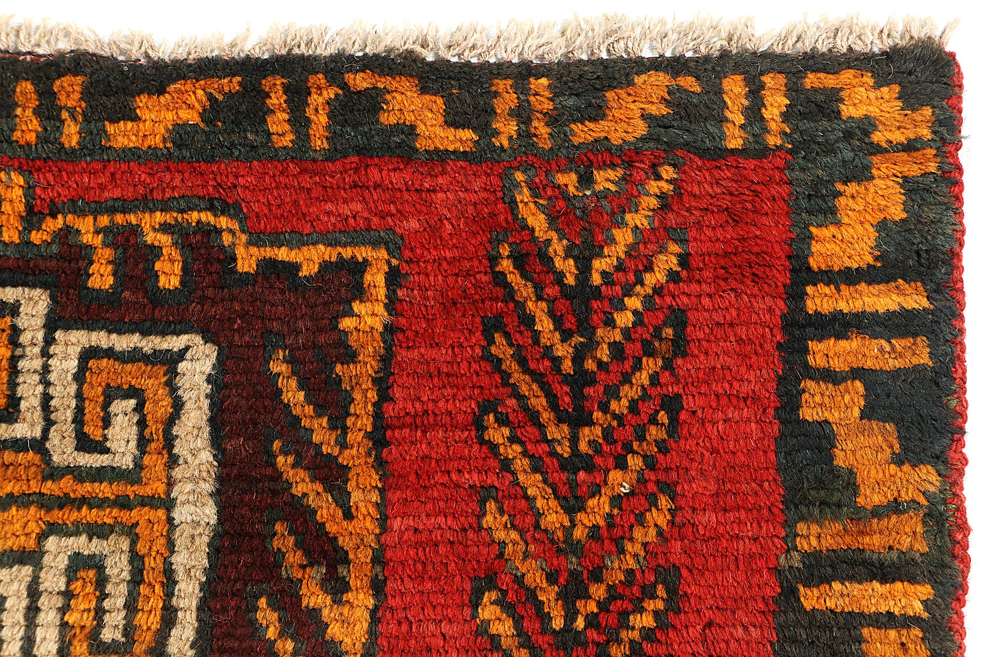 SHINDANDI BALUCHI